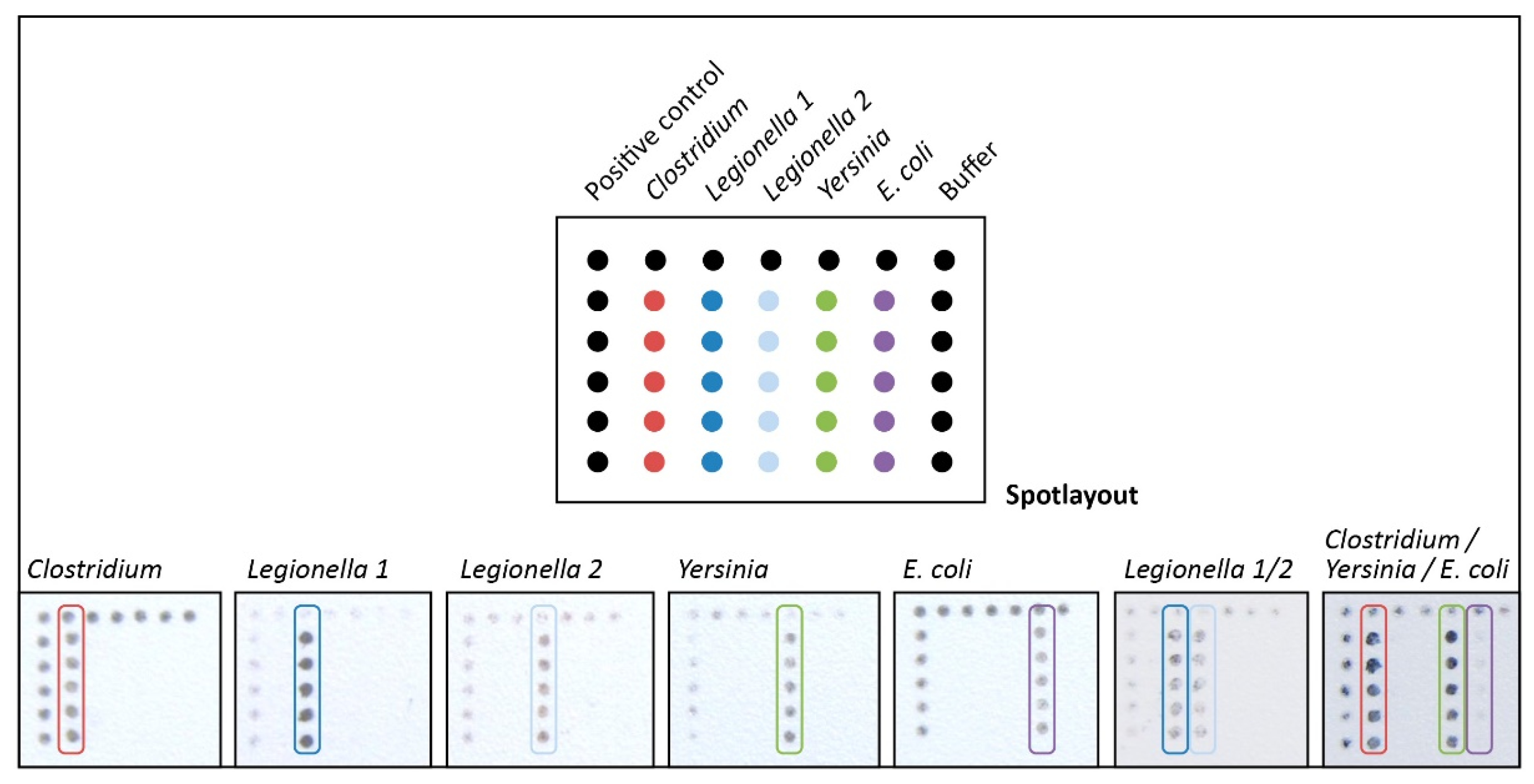 Chemosensors 09 00357 g008
