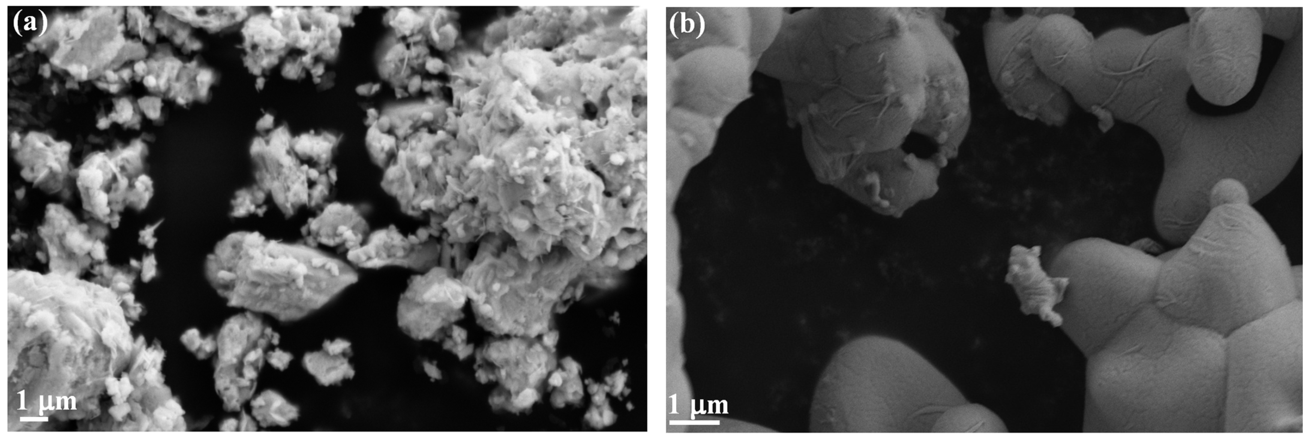 Chemosensors 09 00361 g002