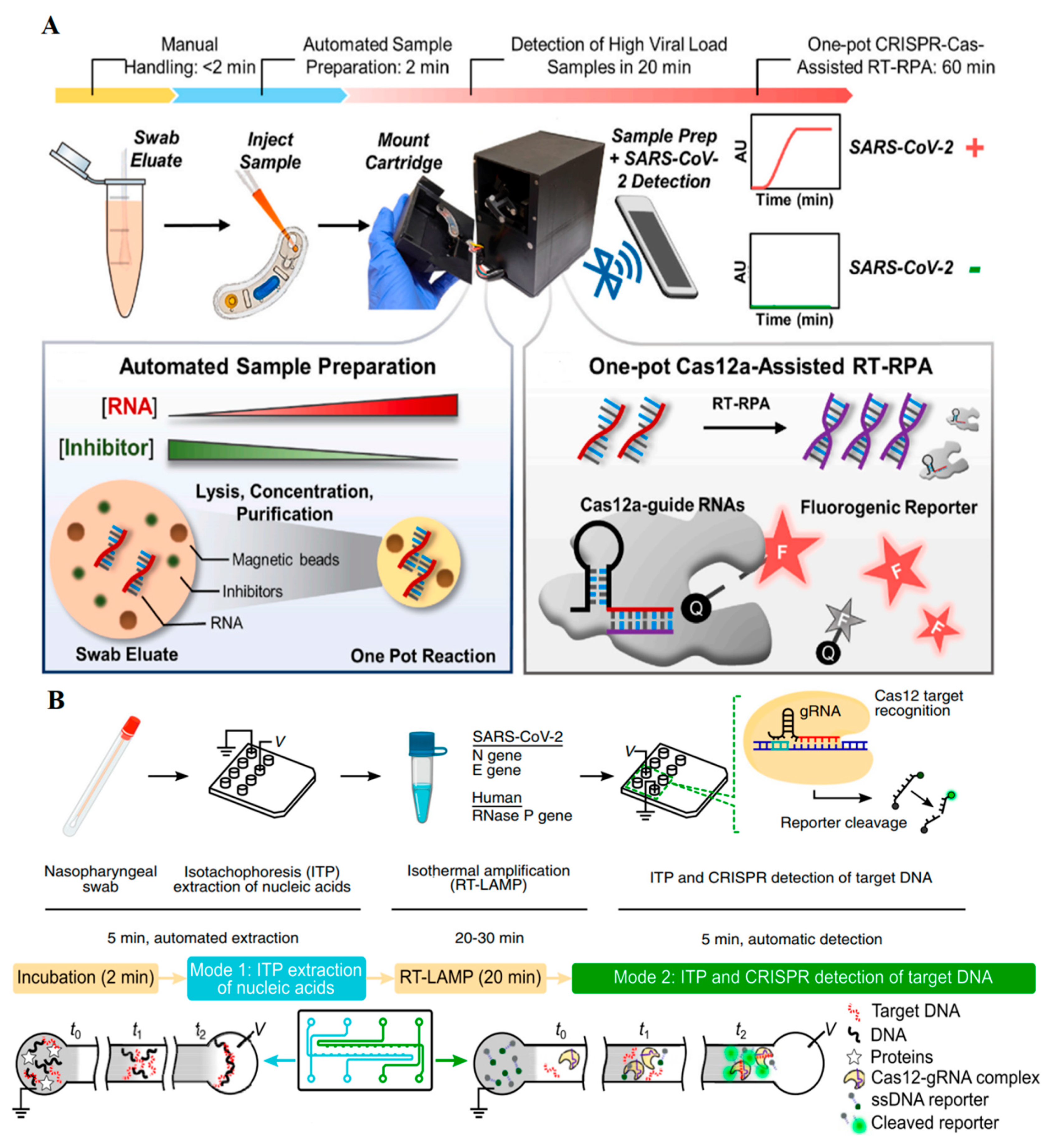 Chemosensors 10 00003 g002
