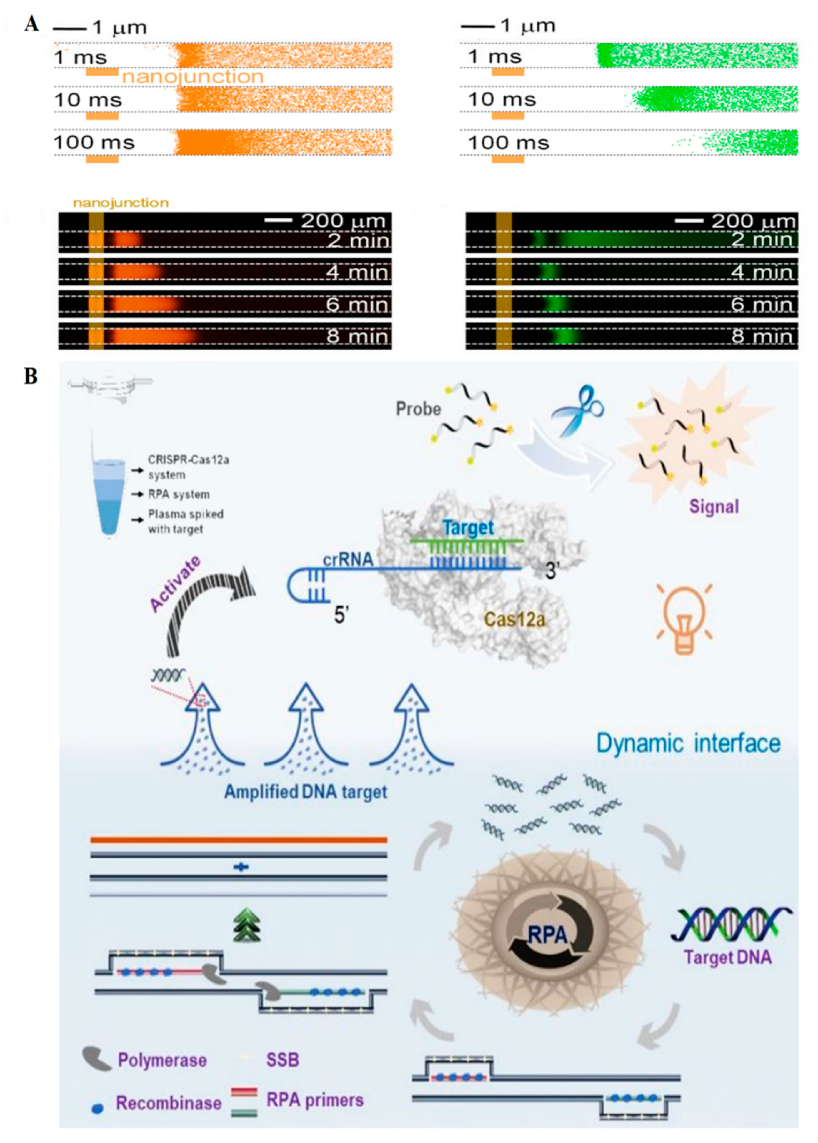 Chemosensors 10 00003 g003