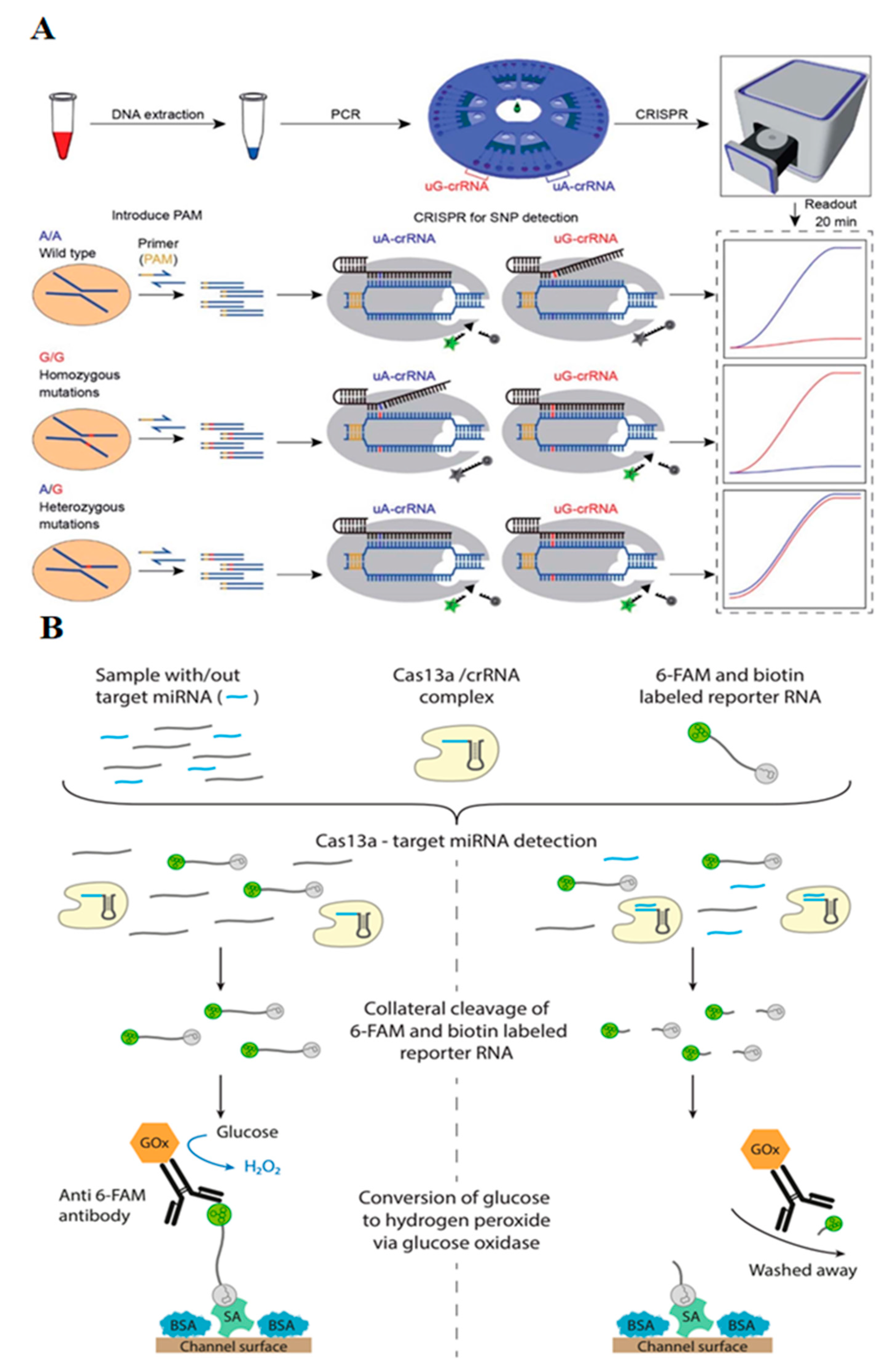 Chemosensors 10 00003 g005