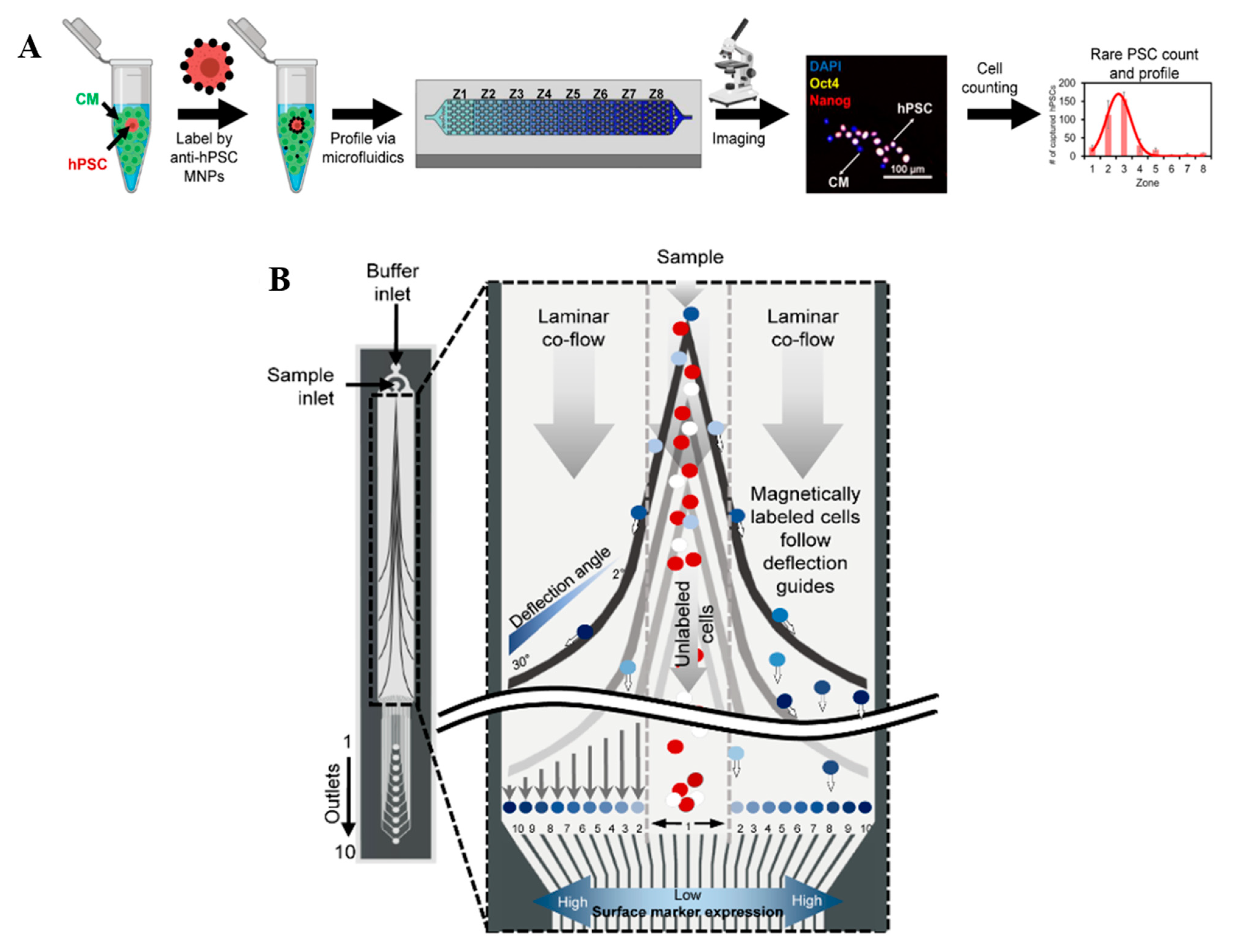 Chemosensors 10 00003 g006