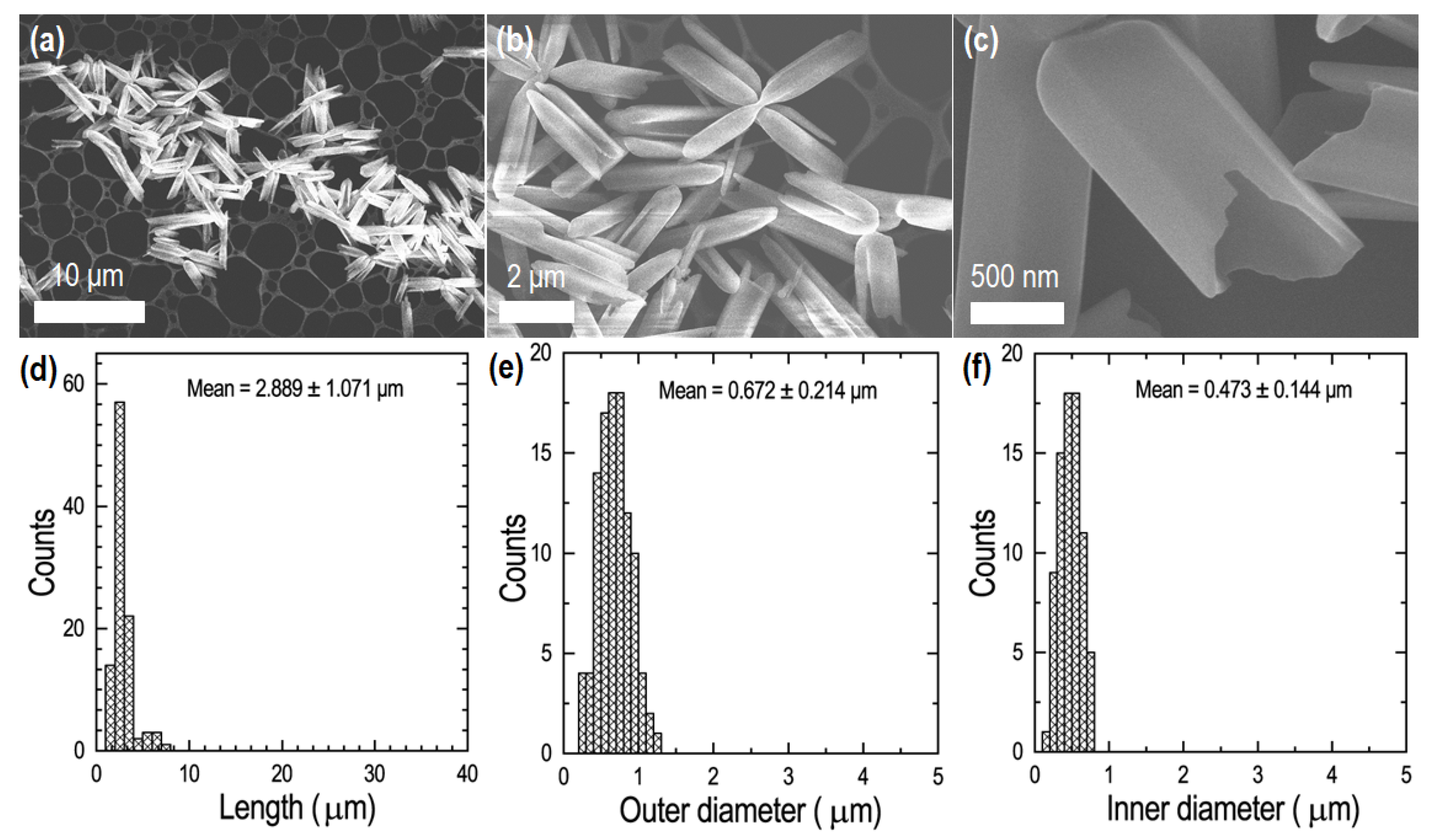 Chemosensors 10 00016 g001