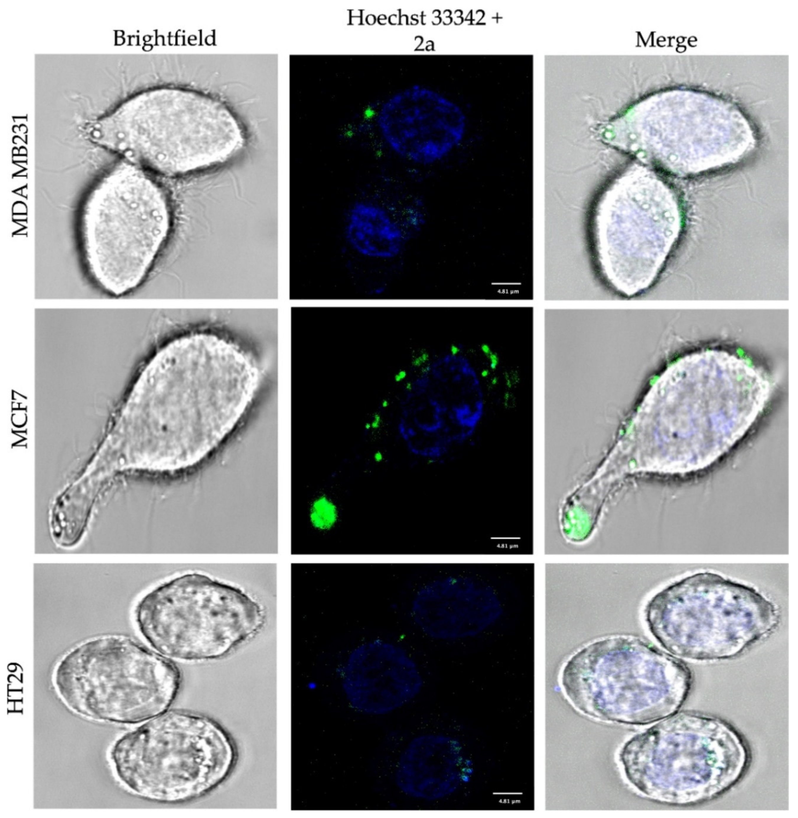 Chemosensors 10 00019 g002