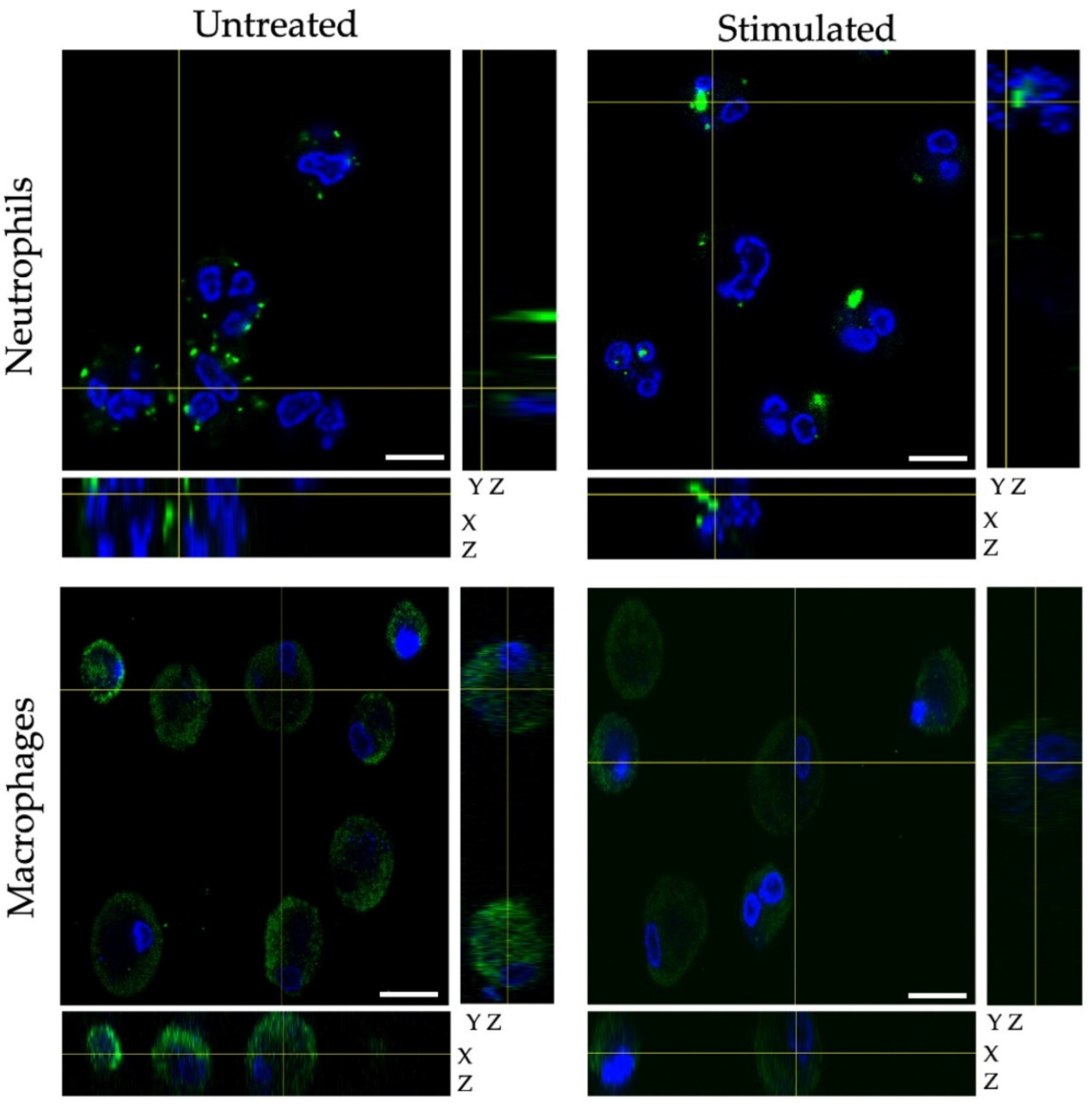 Chemosensors 10 00019 g003