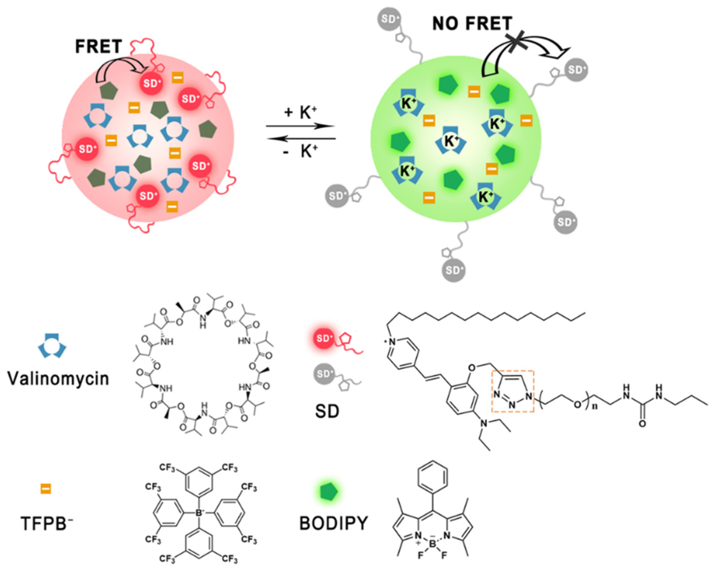 Chemosensors 10 00023 g001