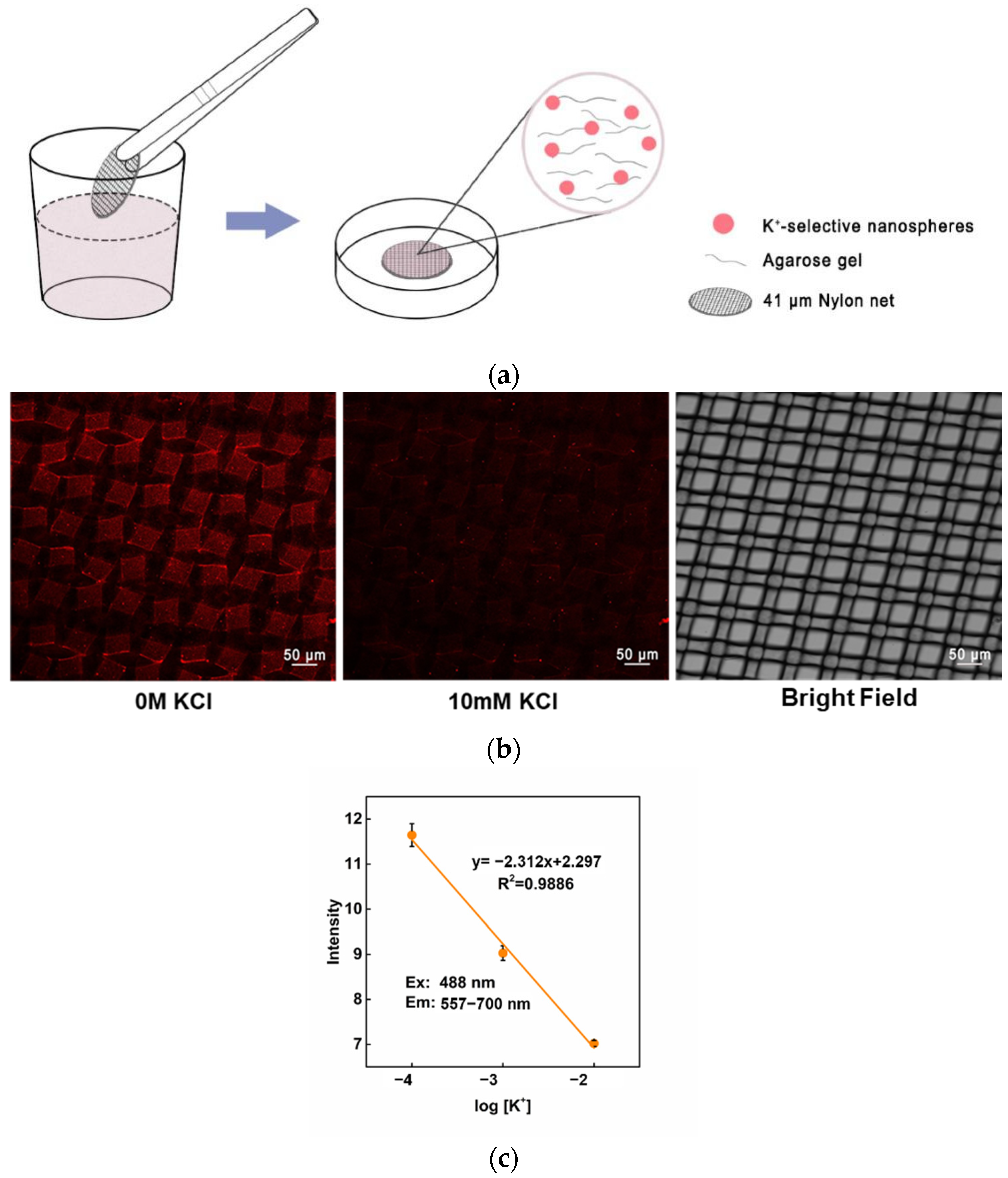 Chemosensors 10 00023 g005