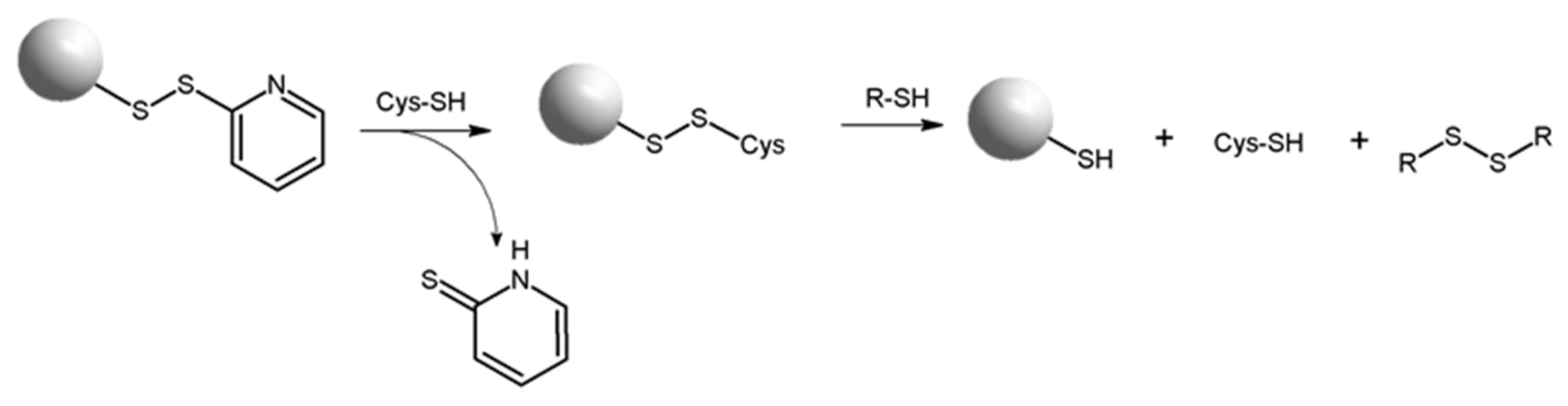 Chemosensors 10 00031 g001