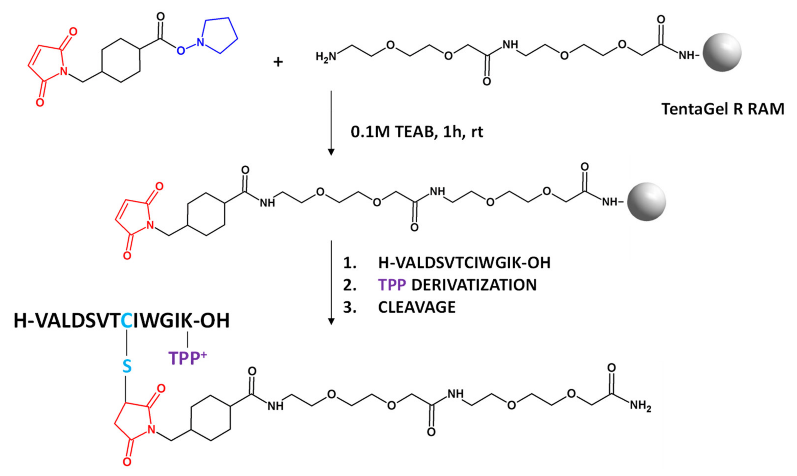Chemosensors 10 00031 g002