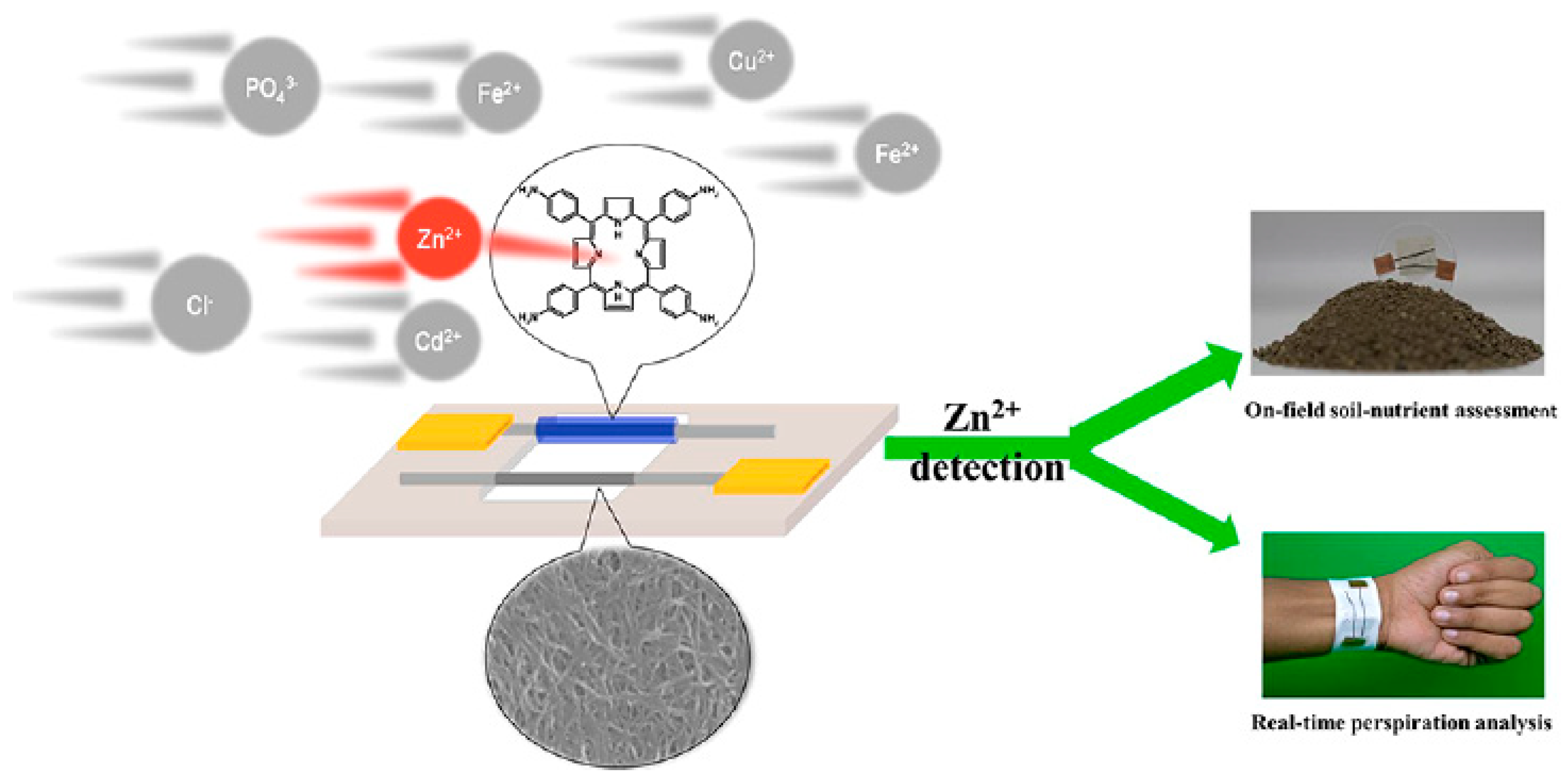 Chemosensors 10 00035 g007