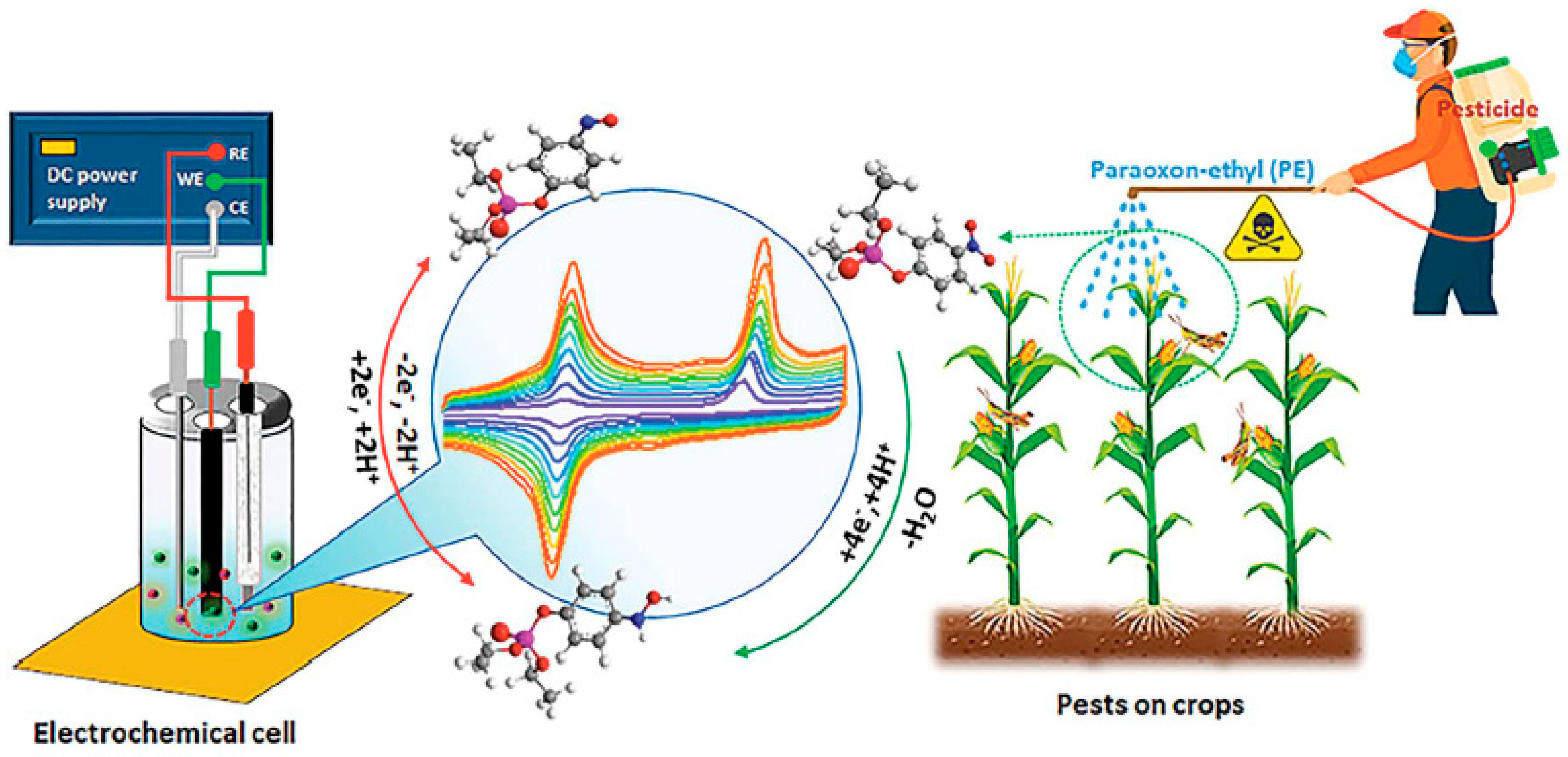 Chemosensors 10 00035 g010