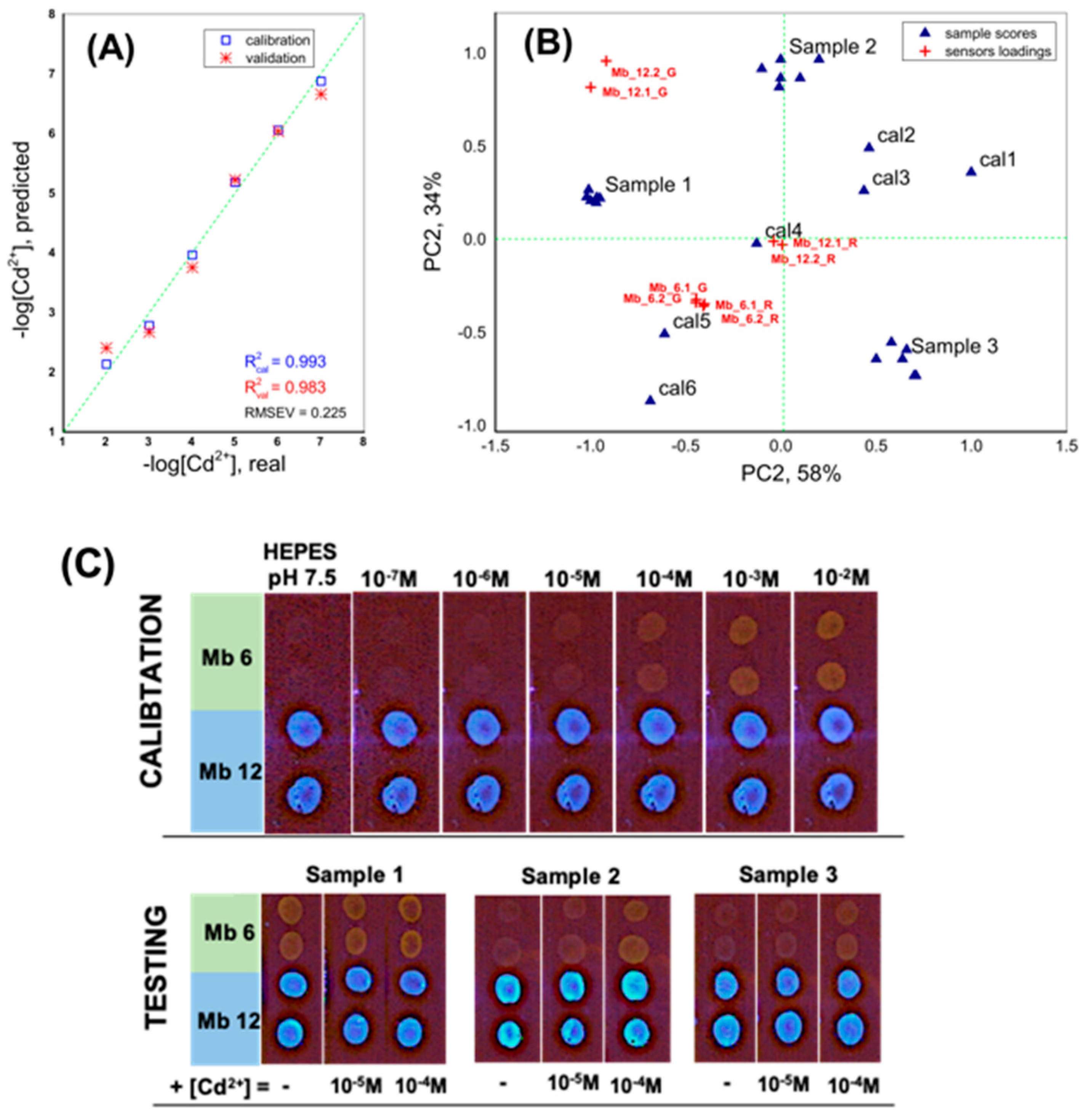 Chemosensors 10 00035 g012