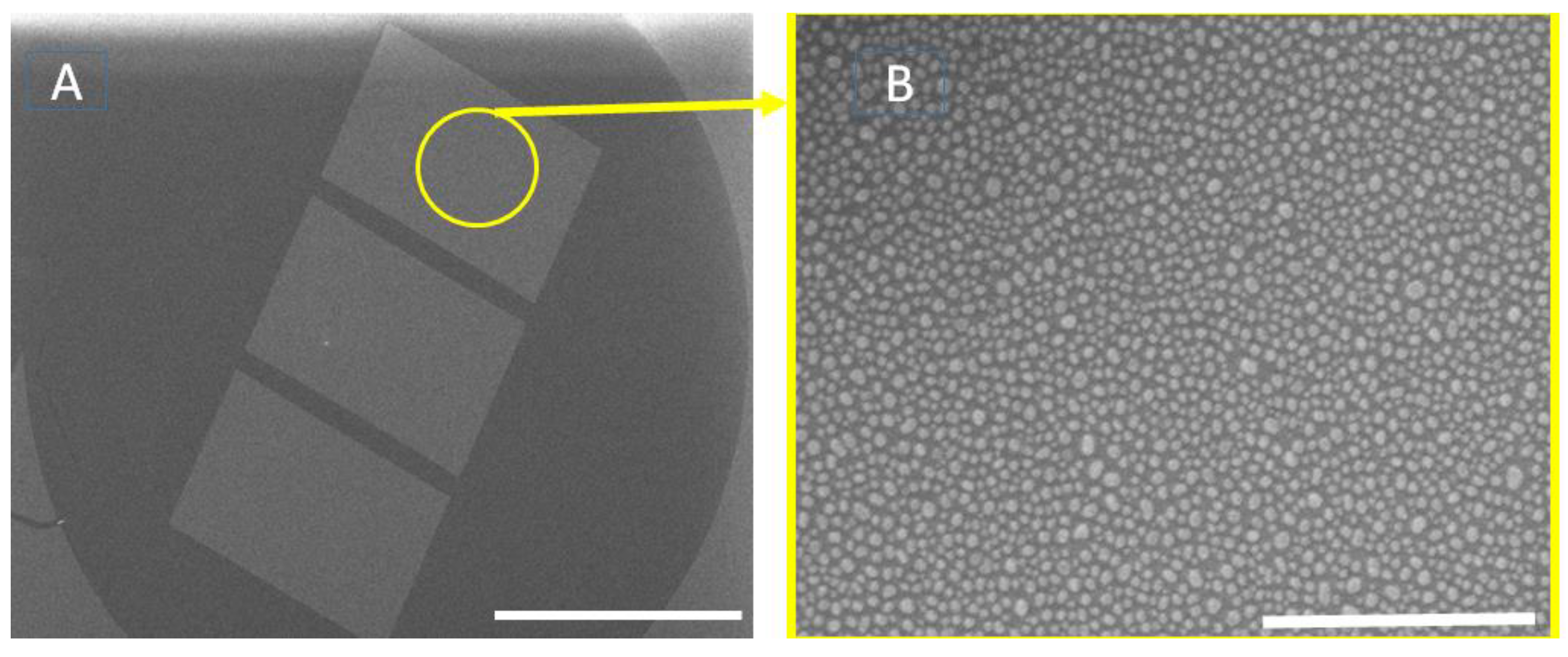 Chemosensors 10 00038 g002