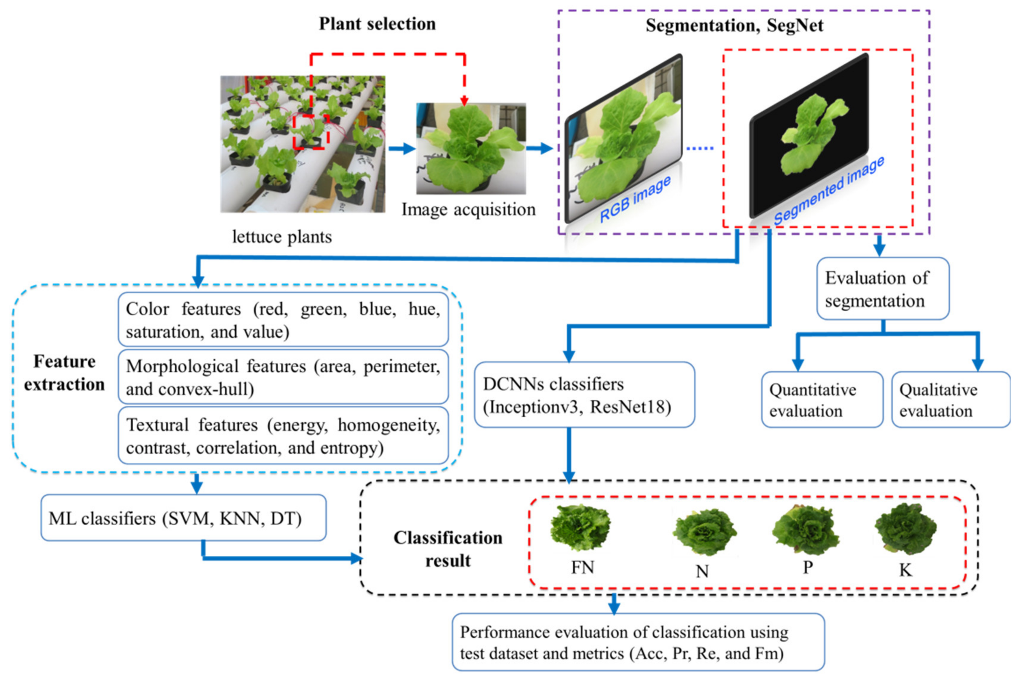 Chemosensors 10 00045 g001