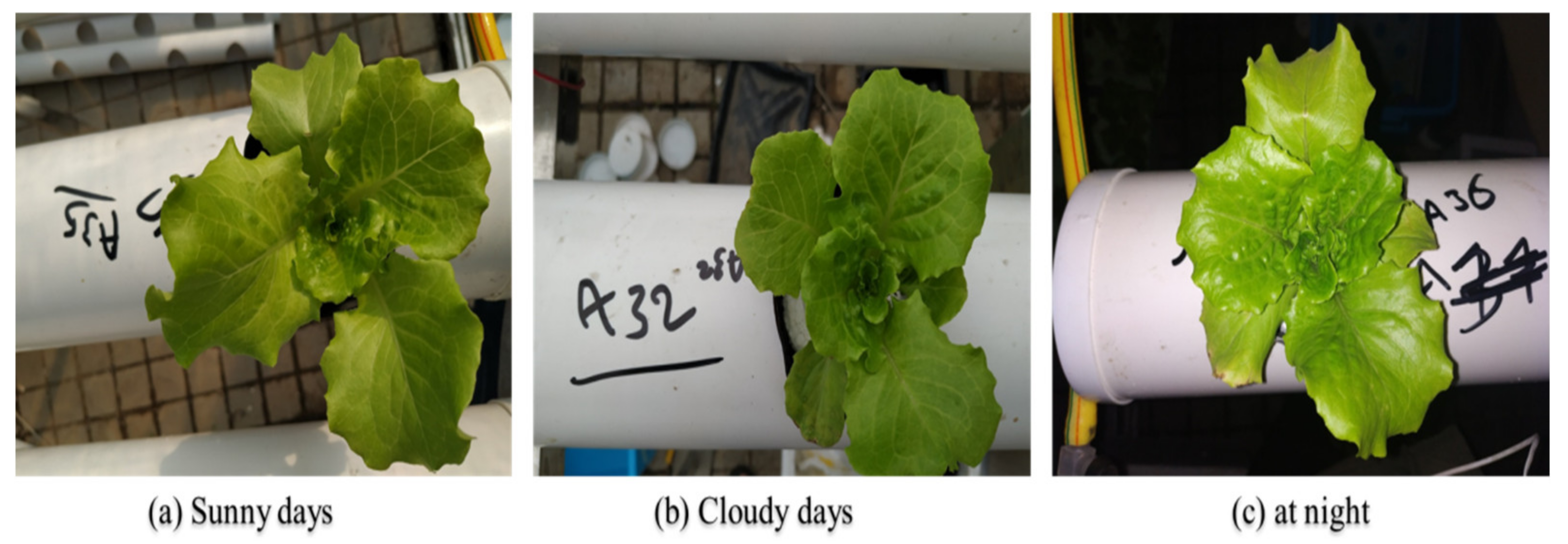 Chemosensors 10 00045 g002