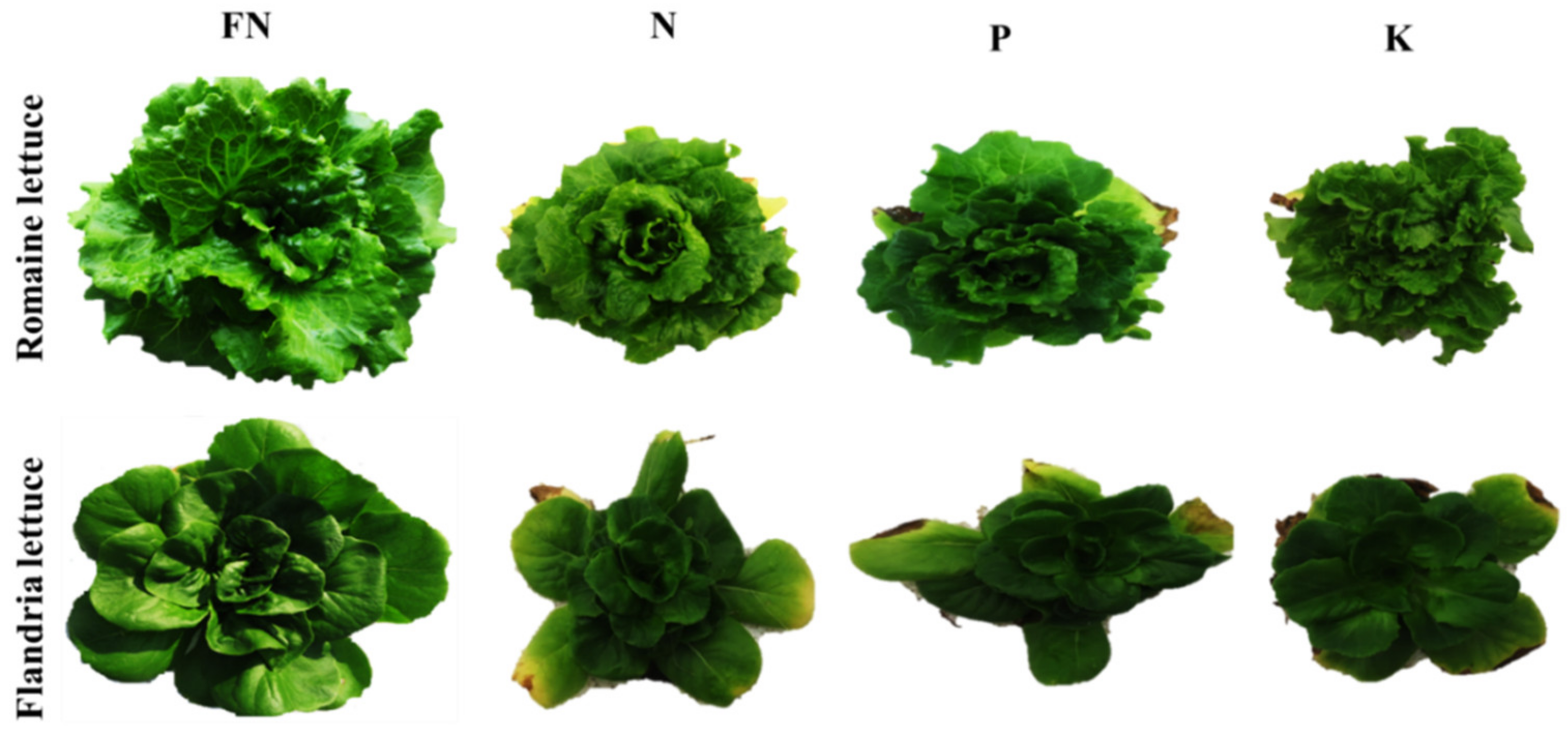 Chemosensors 10 00045 g003
