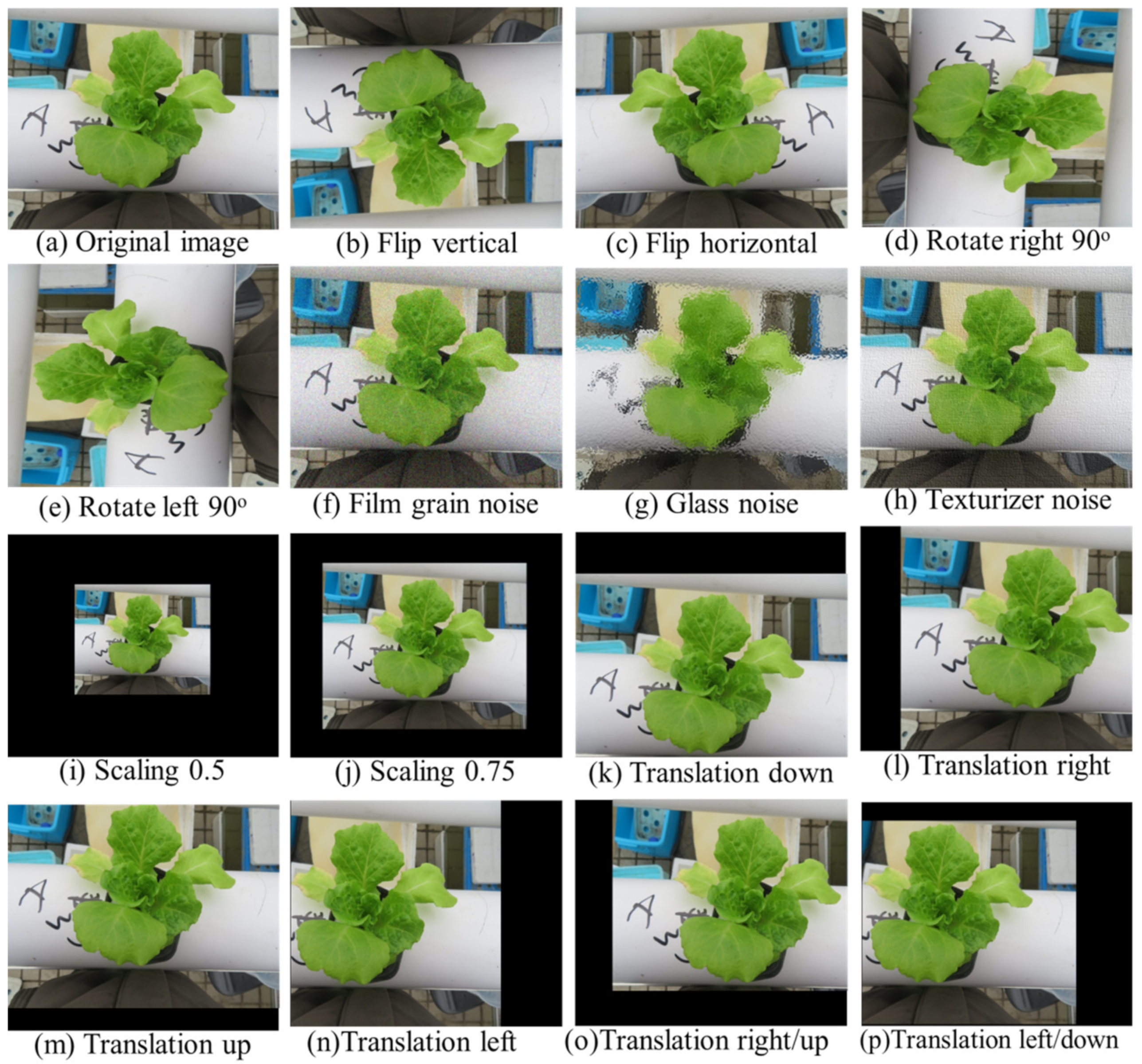 Chemosensors 10 00045 g004