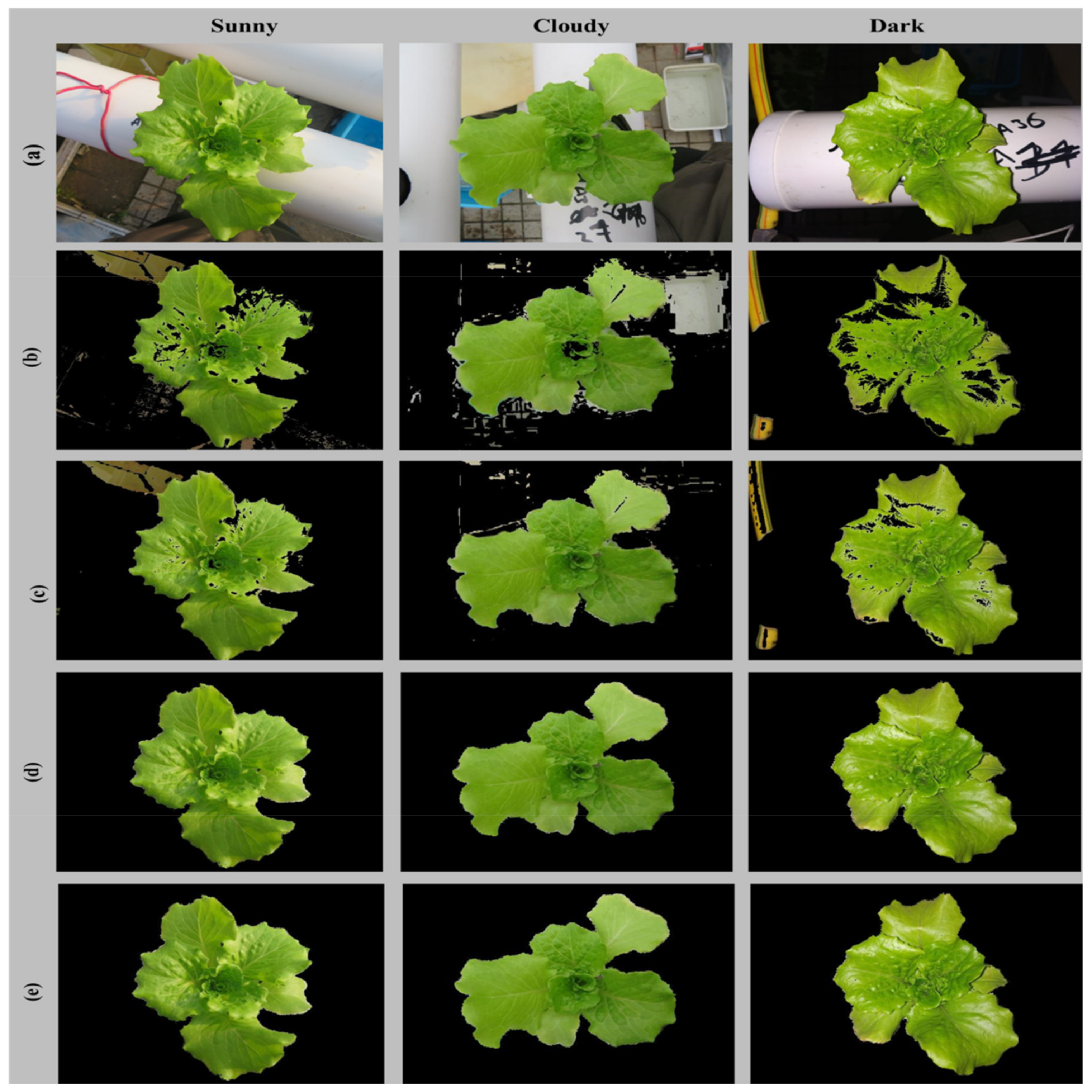 Chemosensors 10 00045 g009