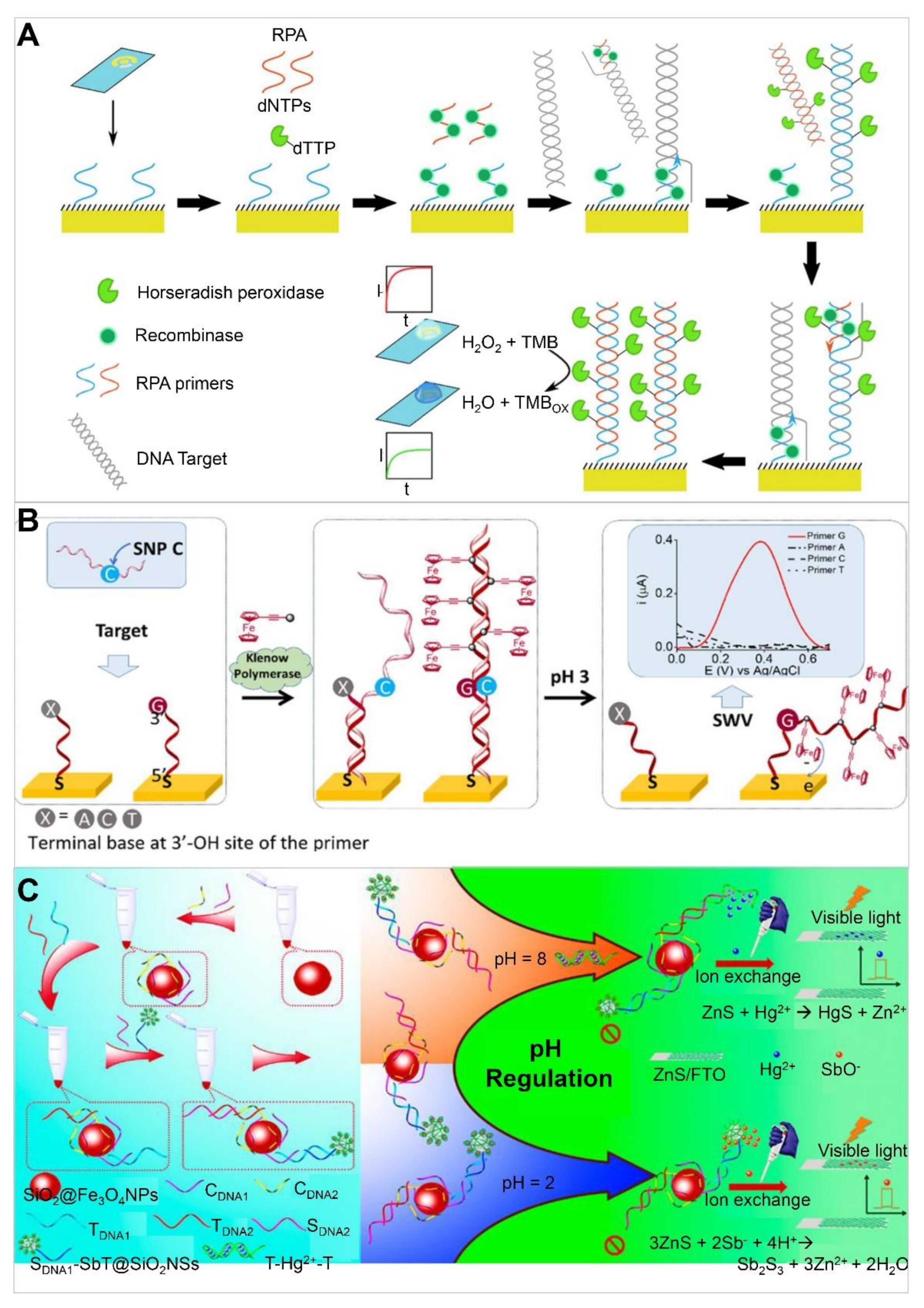 Chemosensors 10 00053 g001