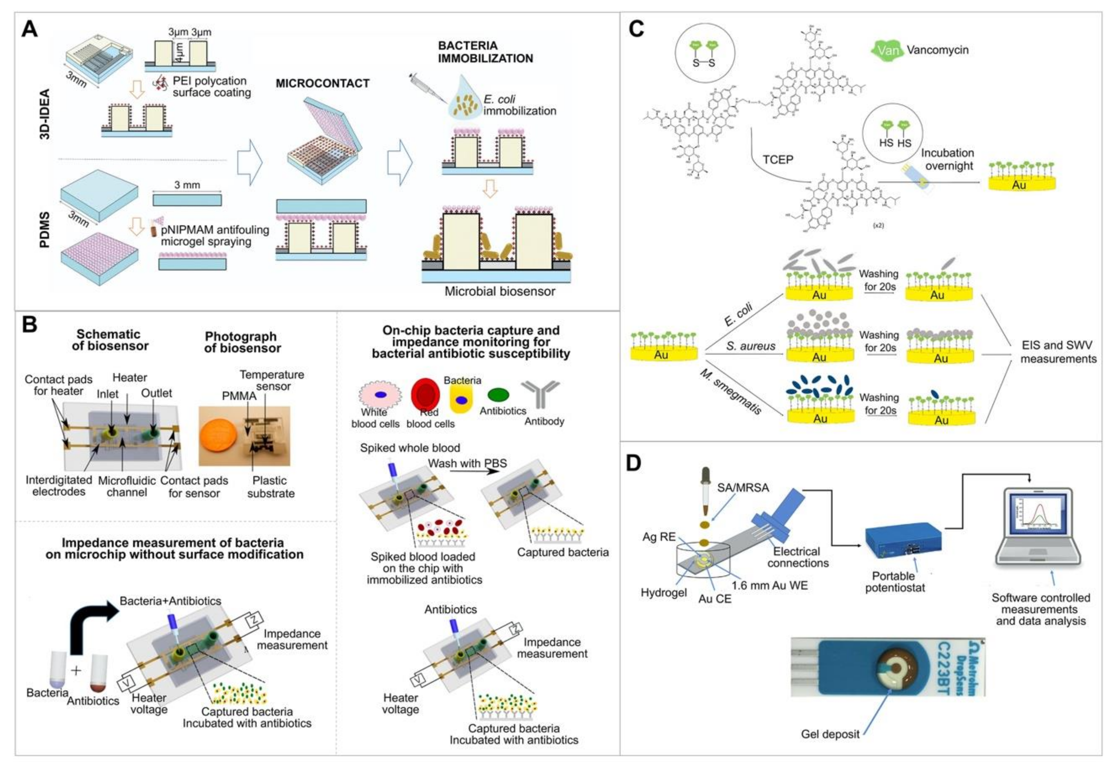 Chemosensors 10 00053 g002