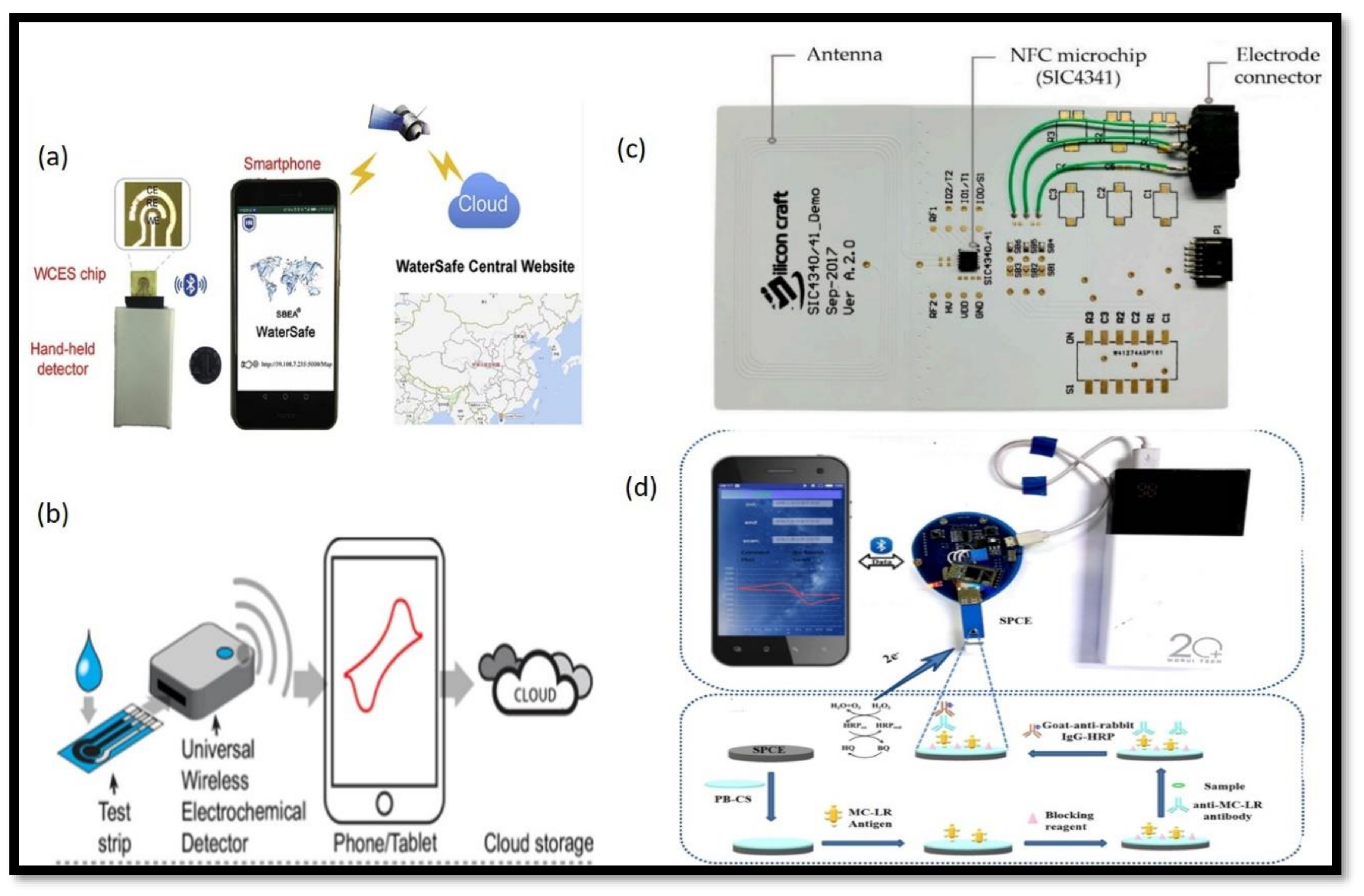 Chemosensors 10 00055 g003