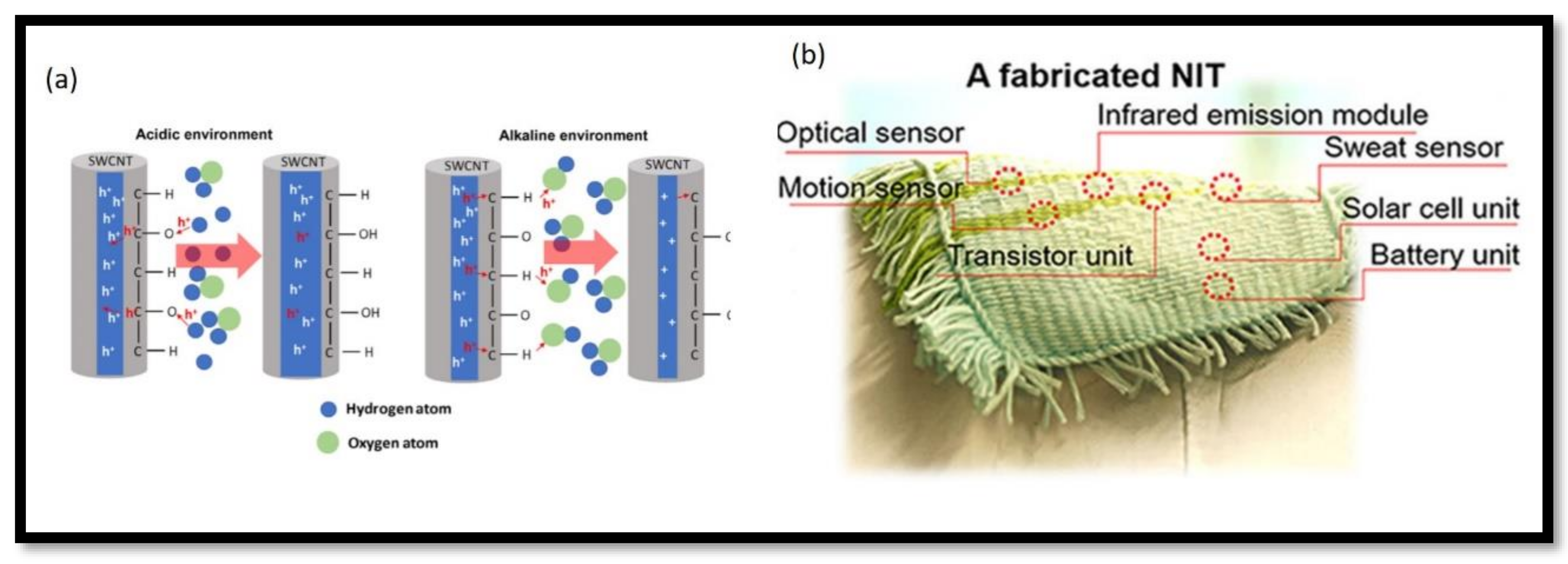Chemosensors 10 00055 g005
