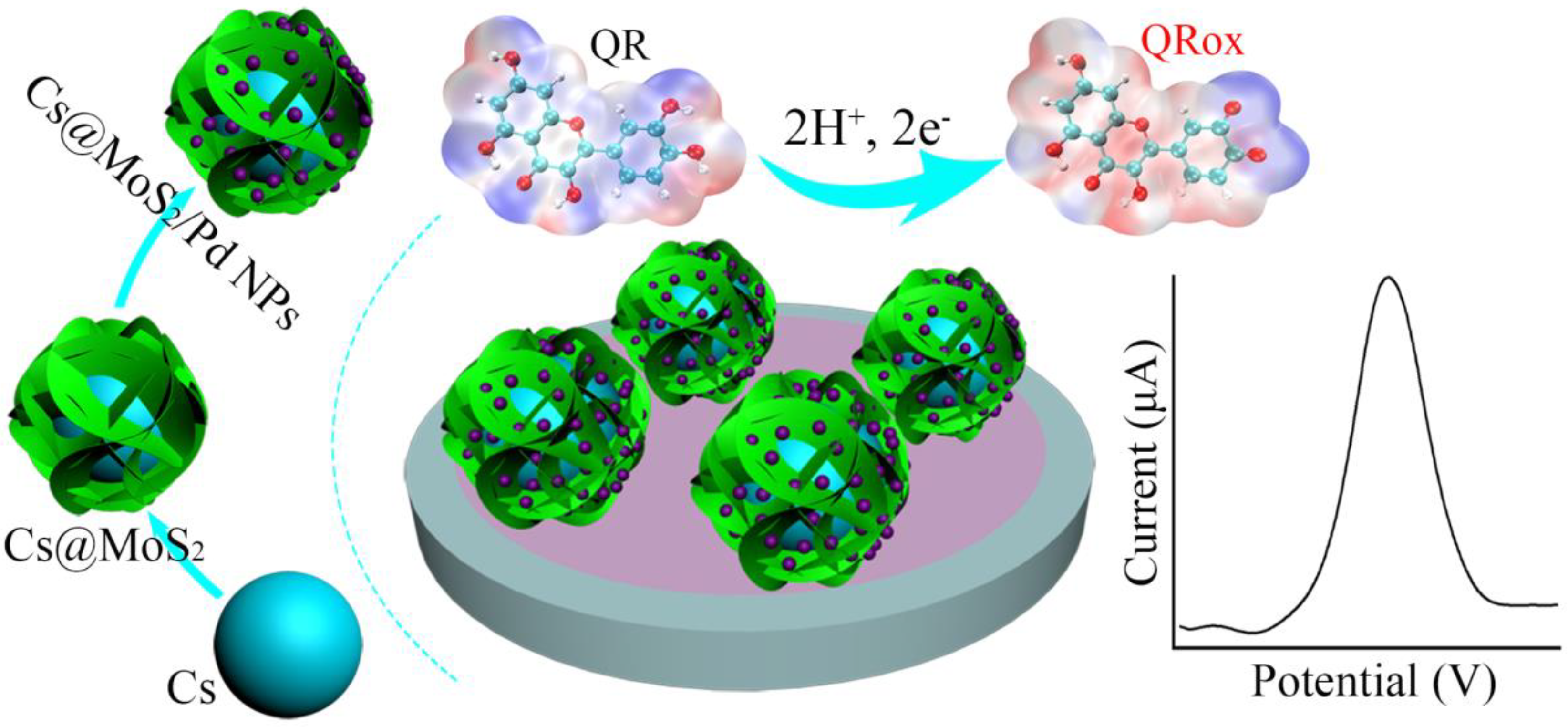 Chemosensors 10 00056 g001