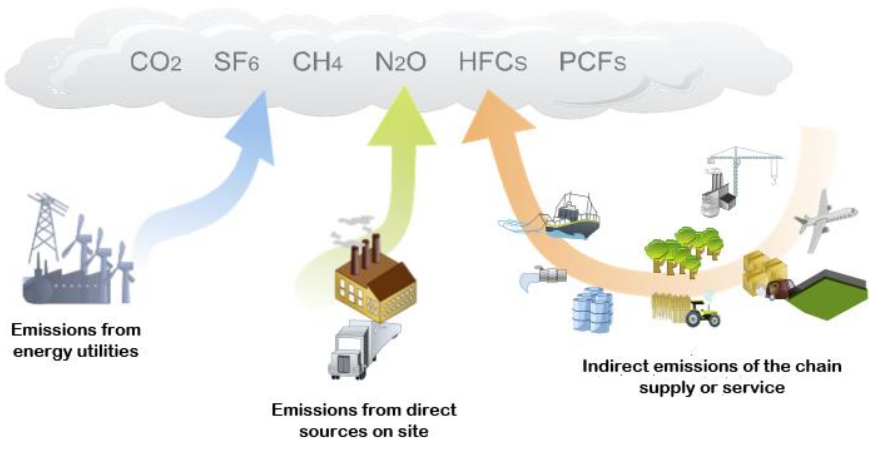 Chemosensors 10 00057 g001