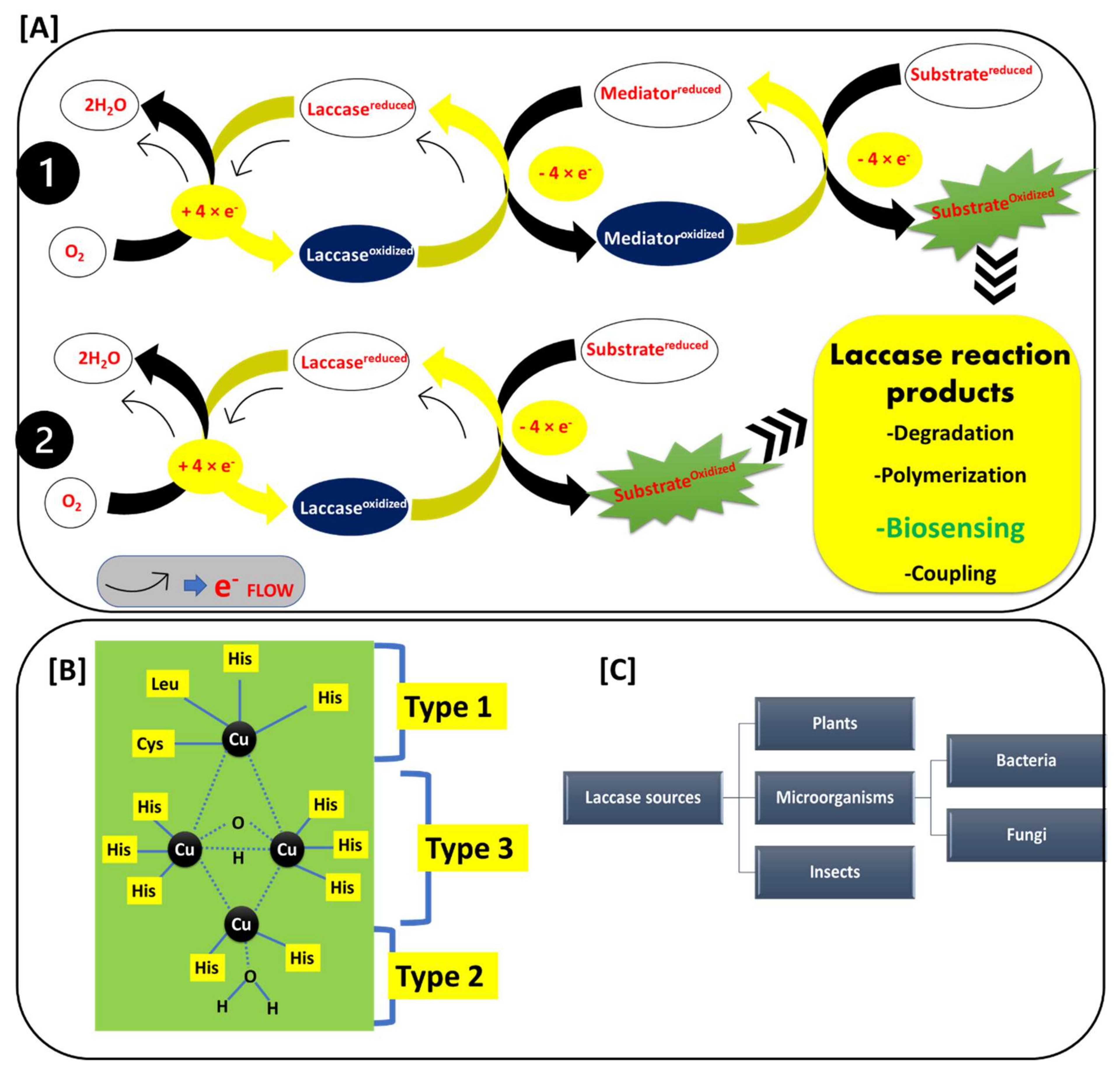 Chemosensors 10 00058 g002