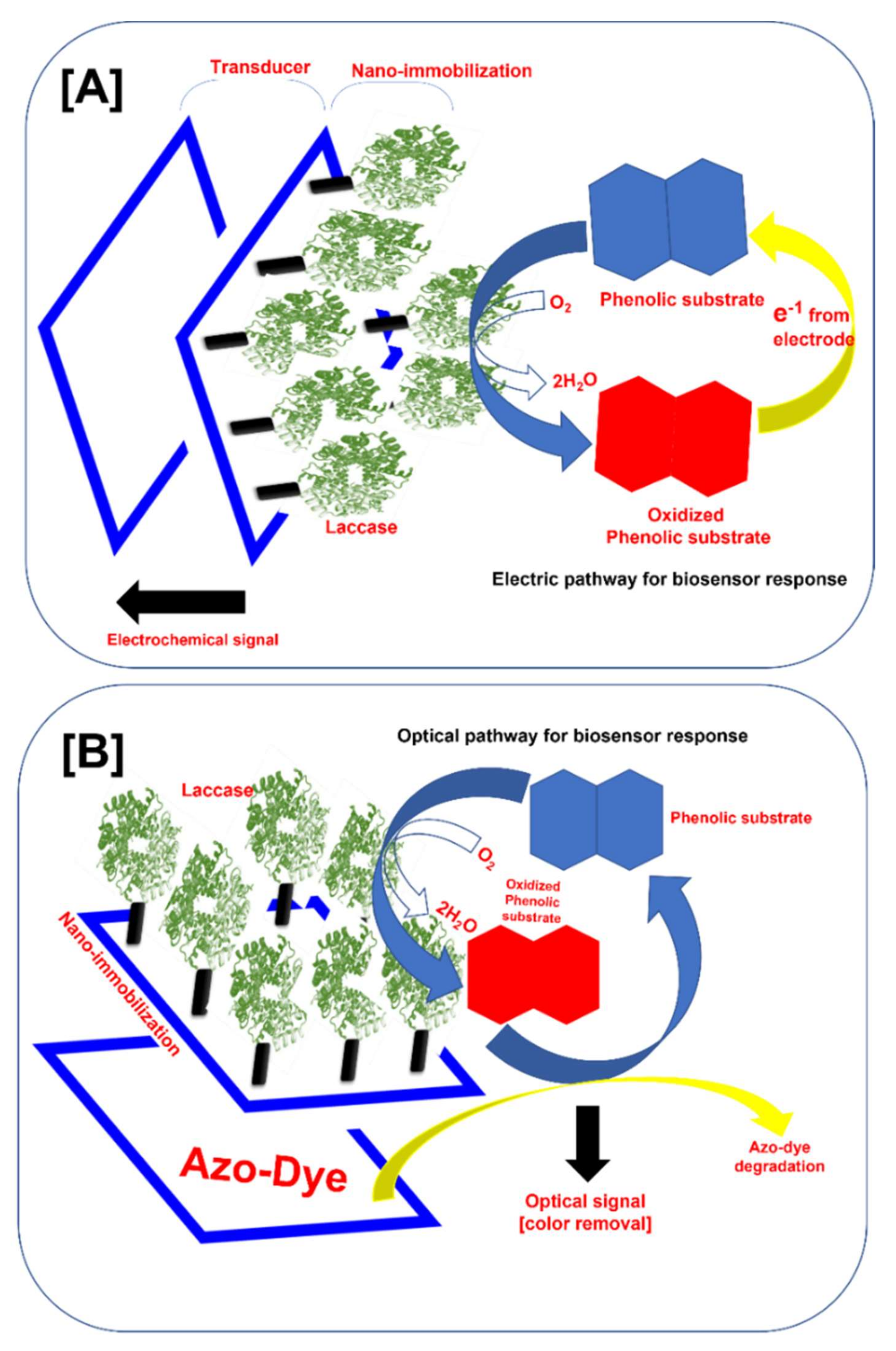 Chemosensors 10 00058 g003