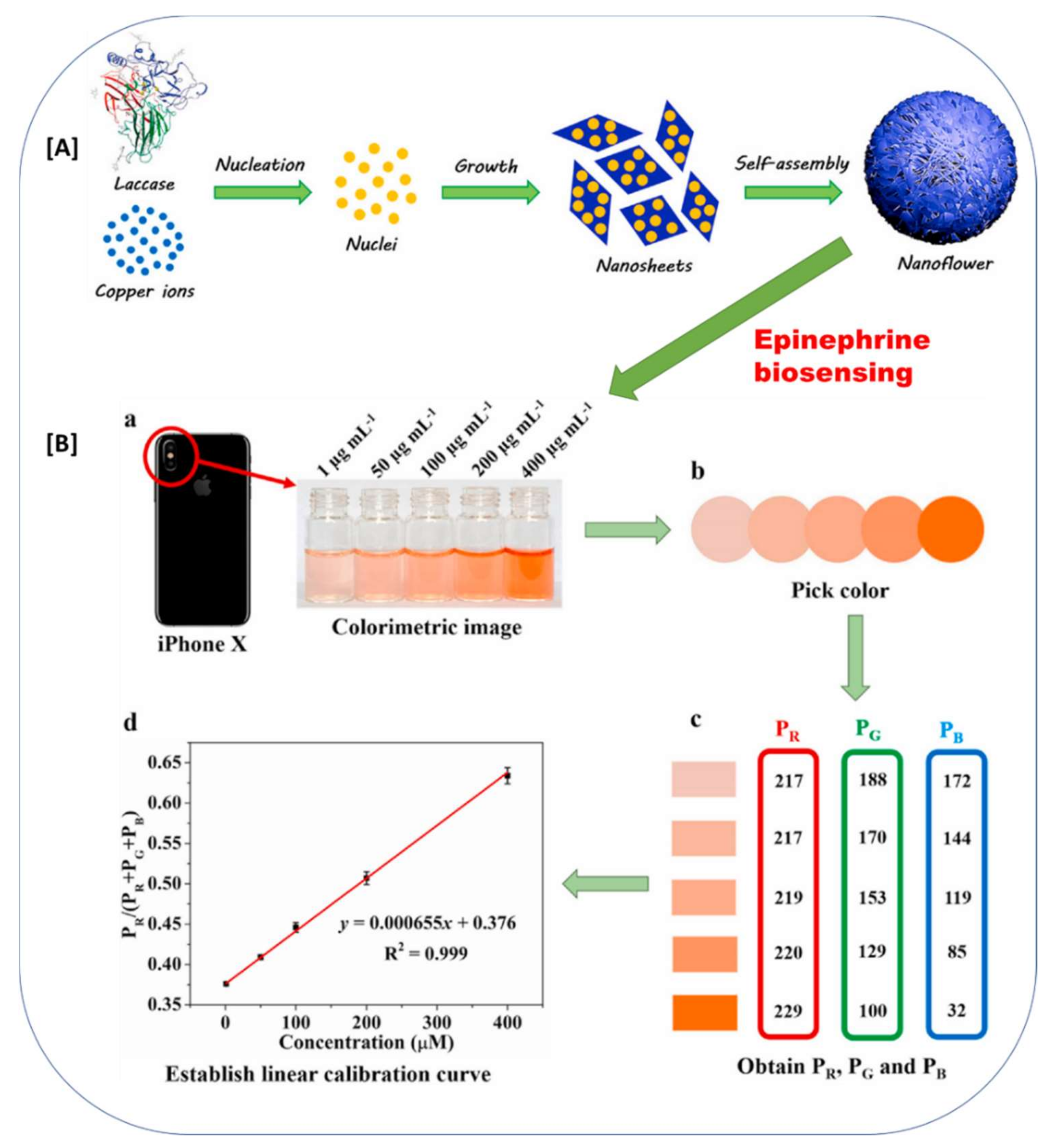 Chemosensors 10 00058 g006