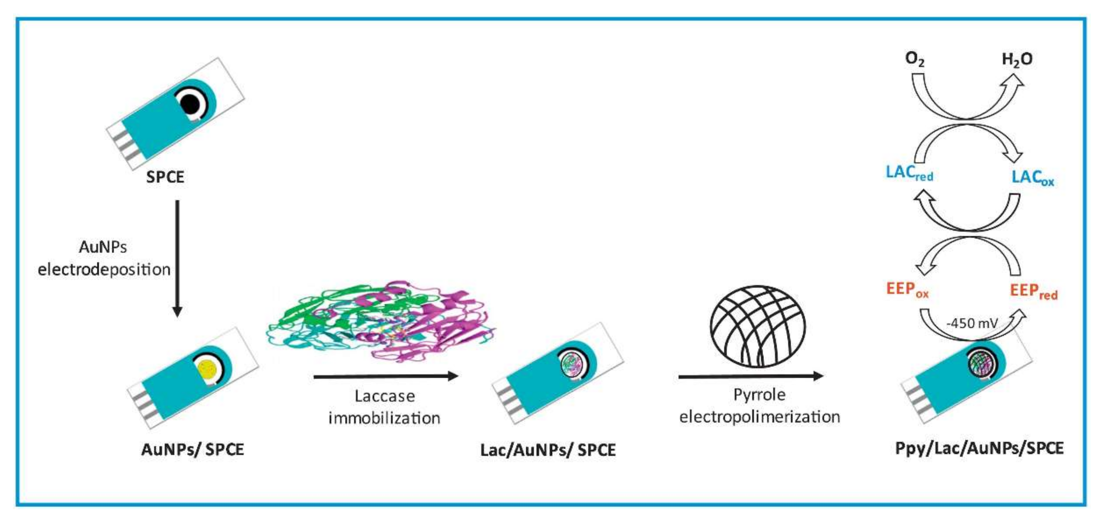 Chemosensors 10 00058 g007