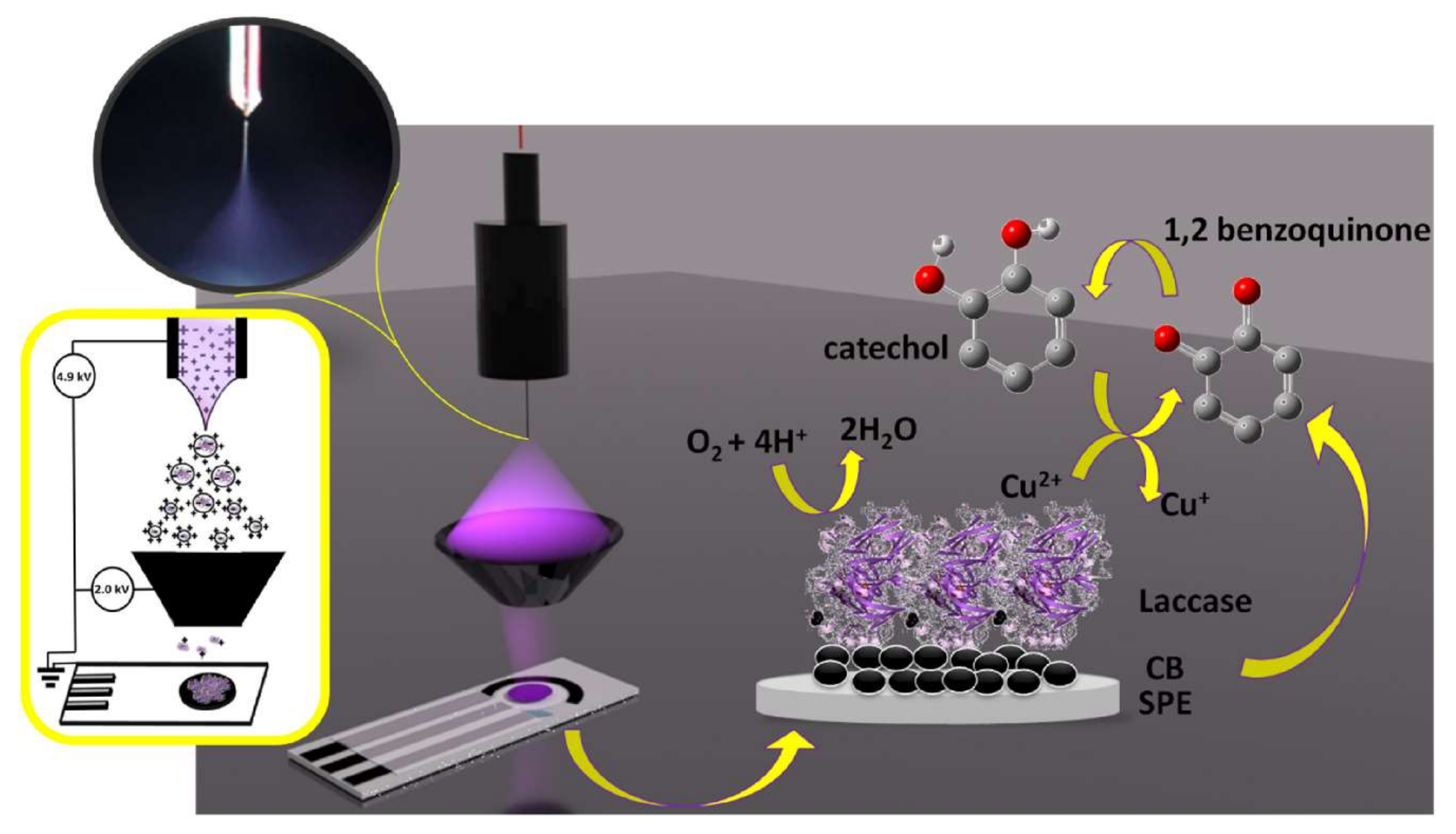 Chemosensors 10 00058 g009
