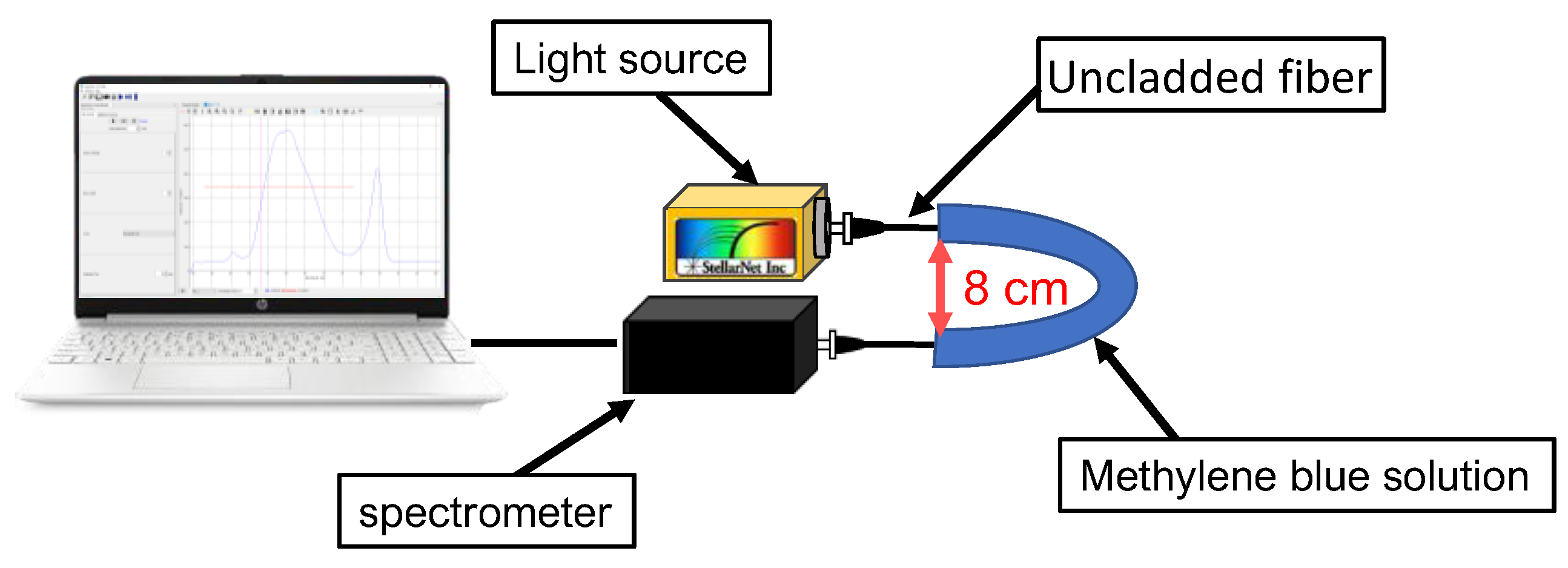 Chemosensors 10 00061 g001