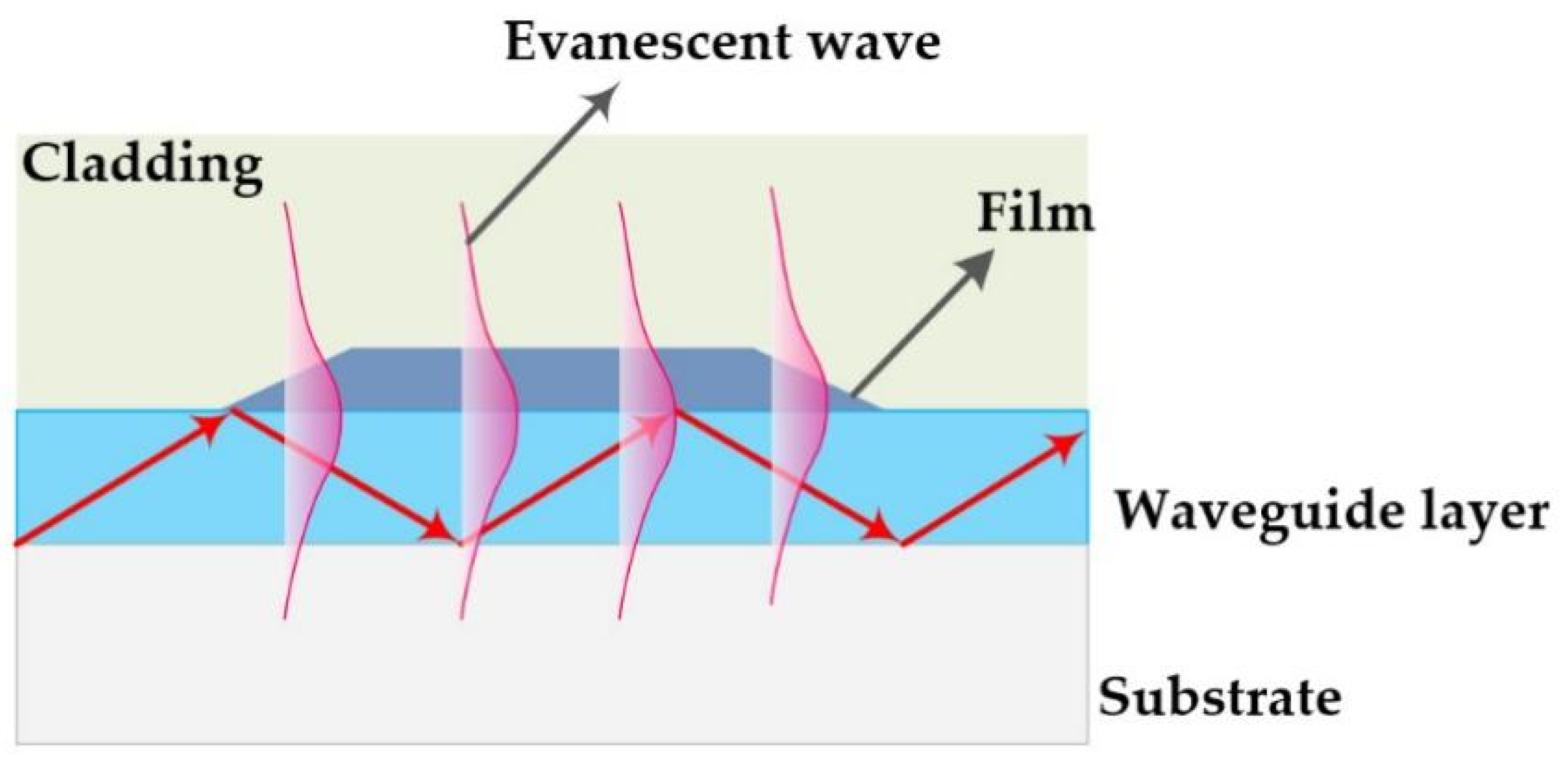 Chemosensors 10 00063 sch001