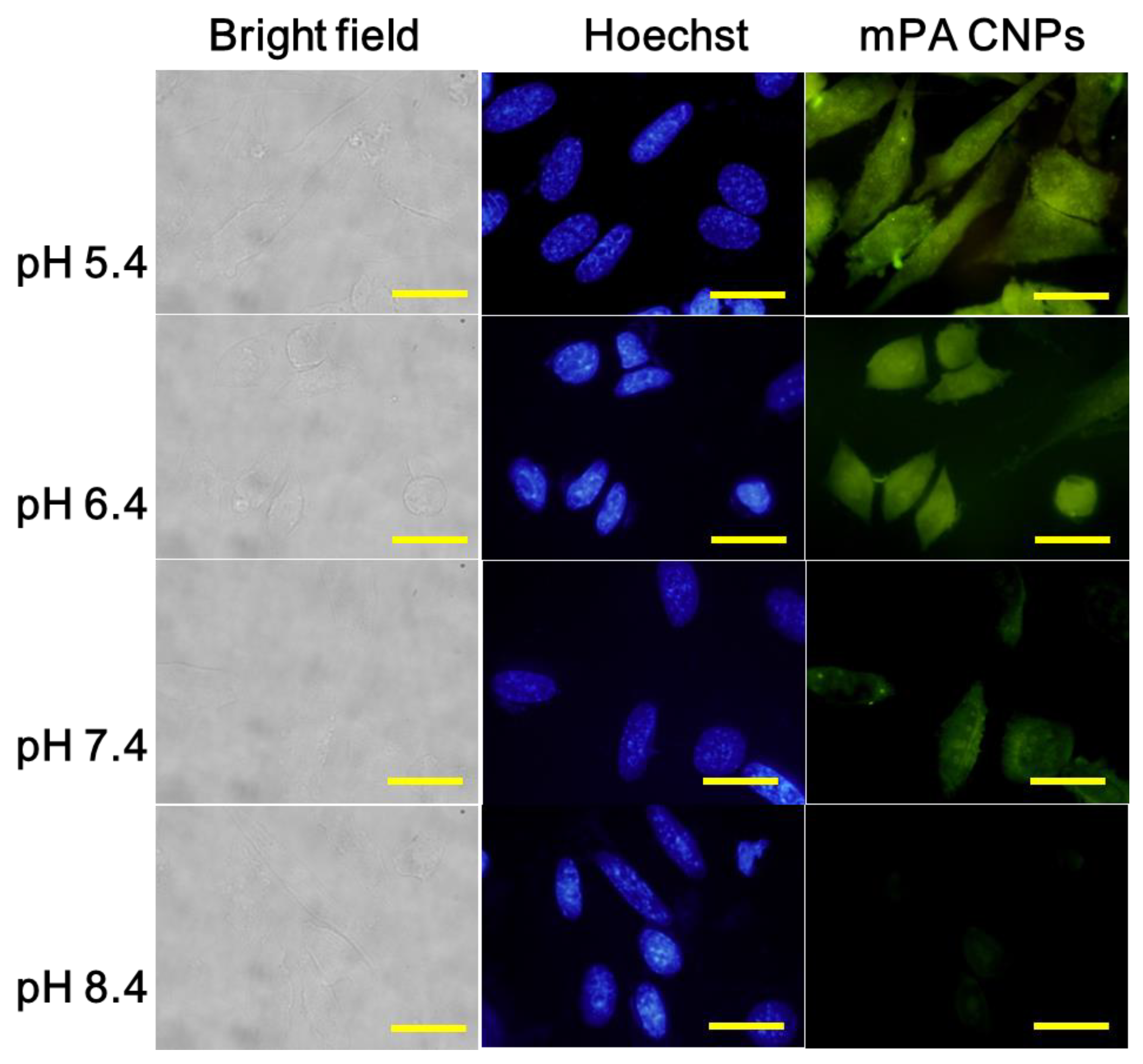 Chemosensors 10 00064 g003