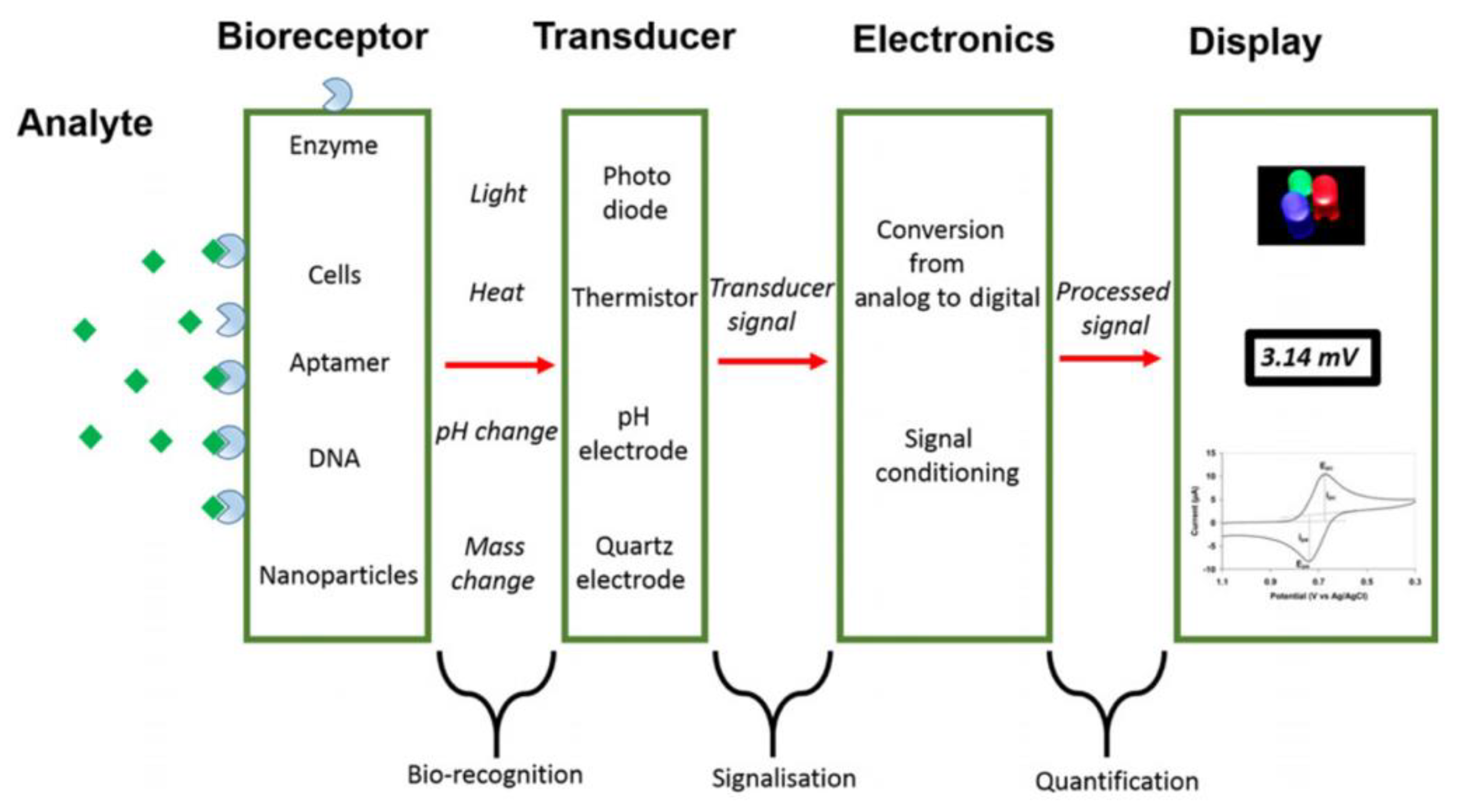 Chemosensors 10 00065 g002