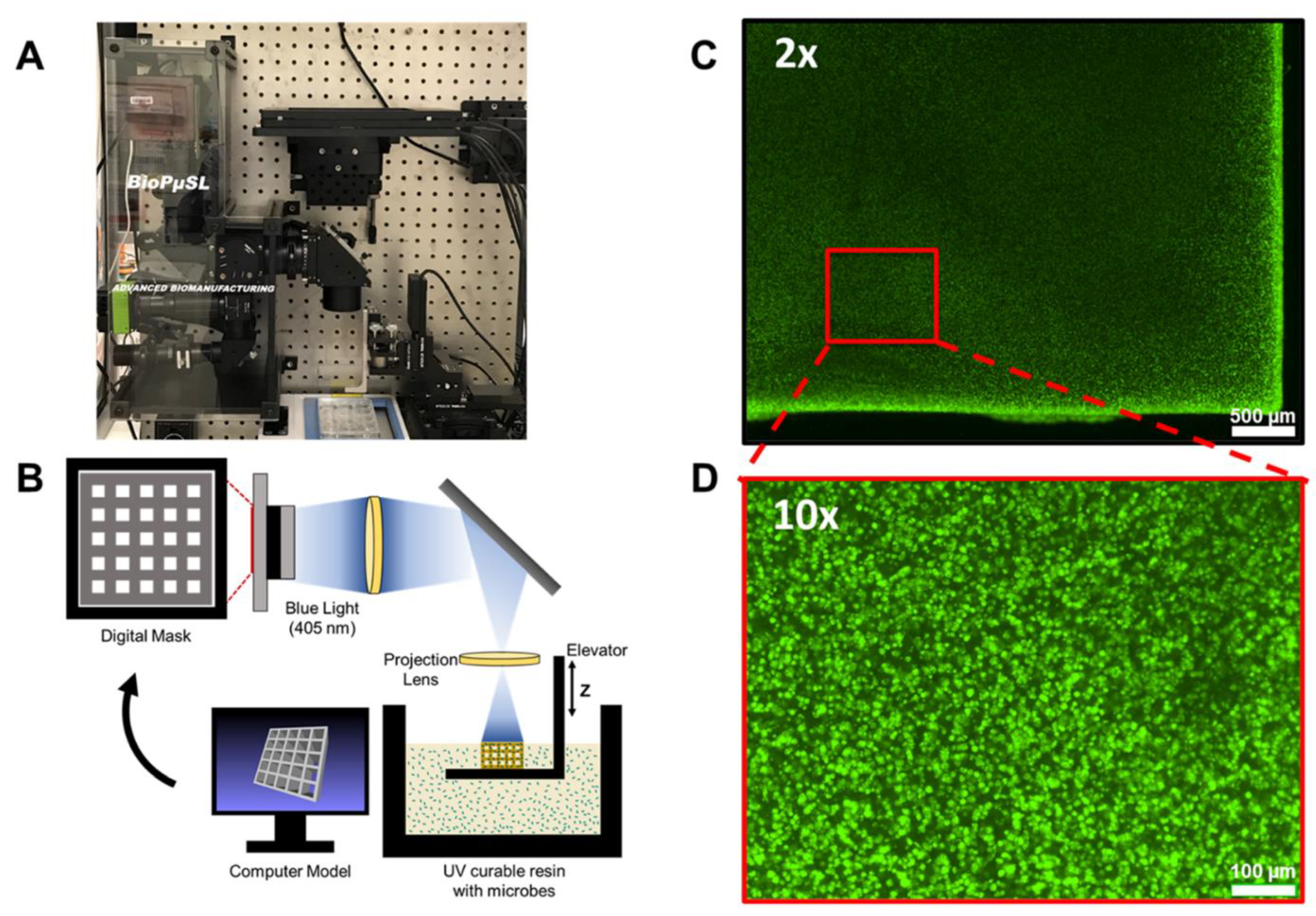 Chemosensors 10 00065 g007