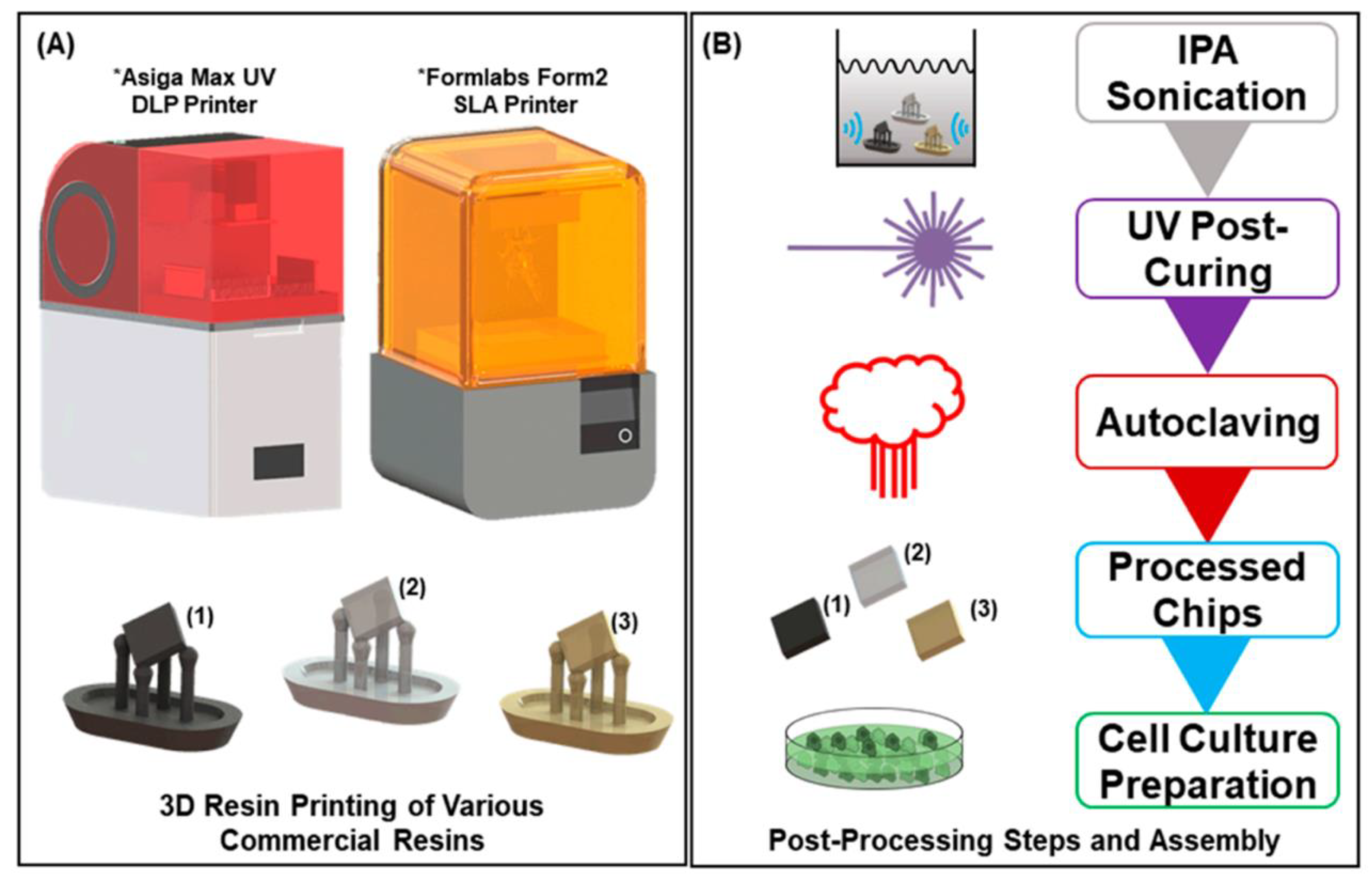 Chemosensors 10 00065 g008