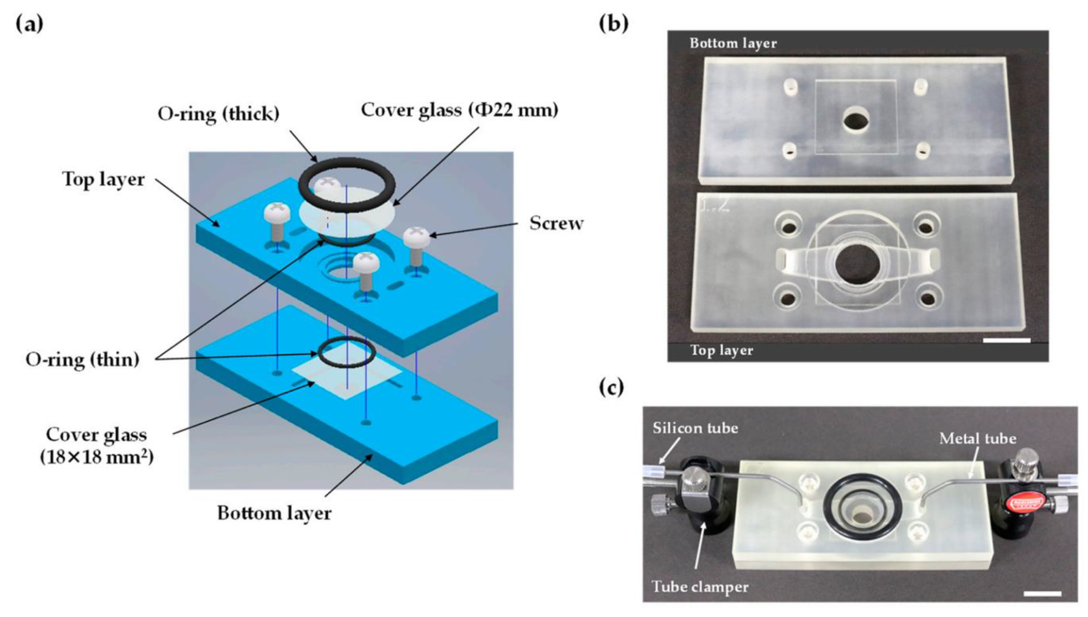 Chemosensors 10 00065 g009