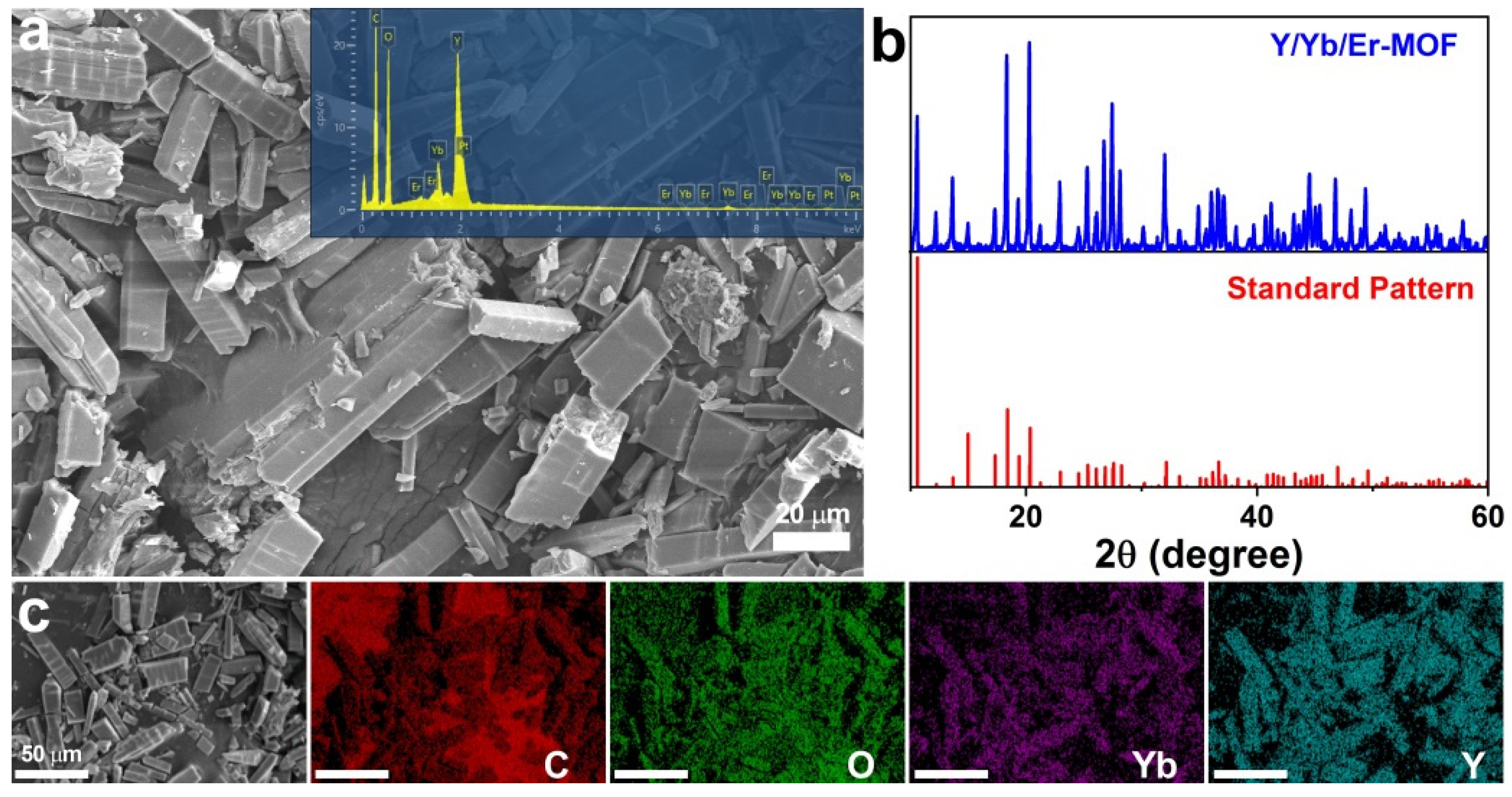 Chemosensors 10 00066 g001 Chemosensors 10 00066 g001