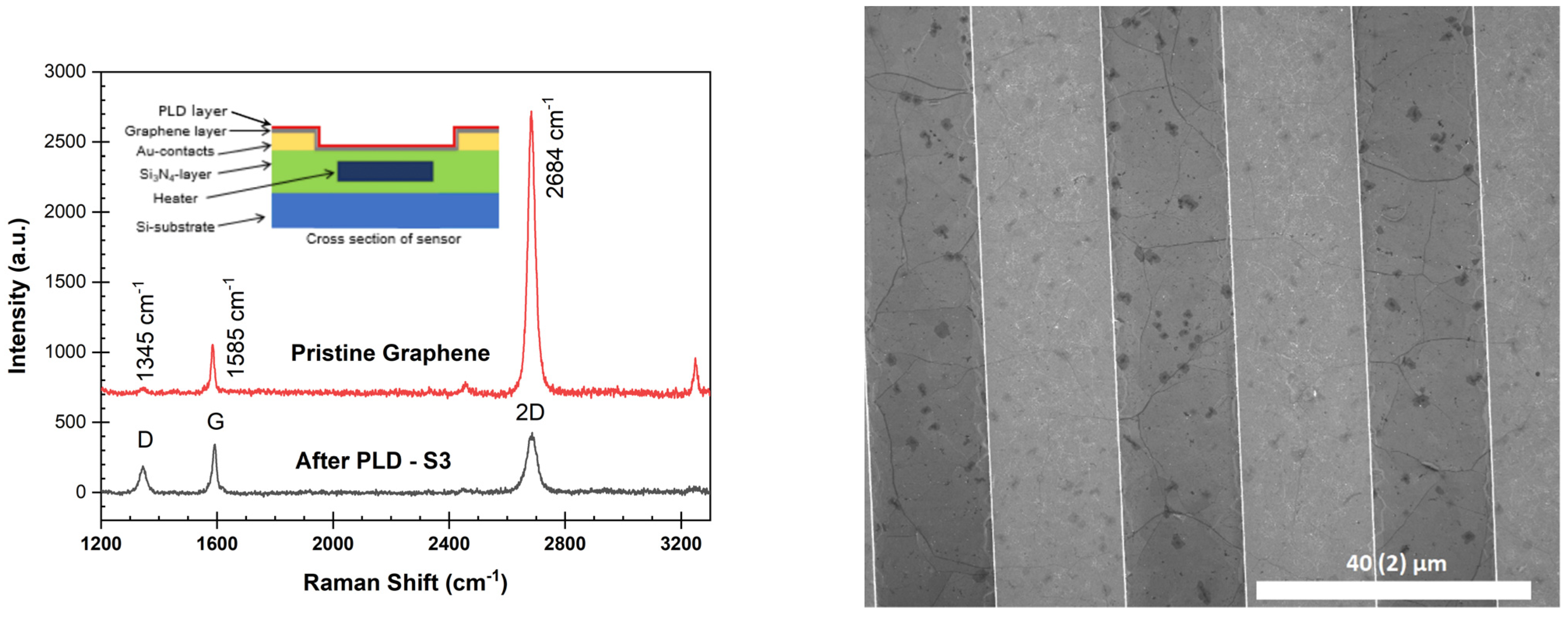 Chemosensors 10 00068 g003