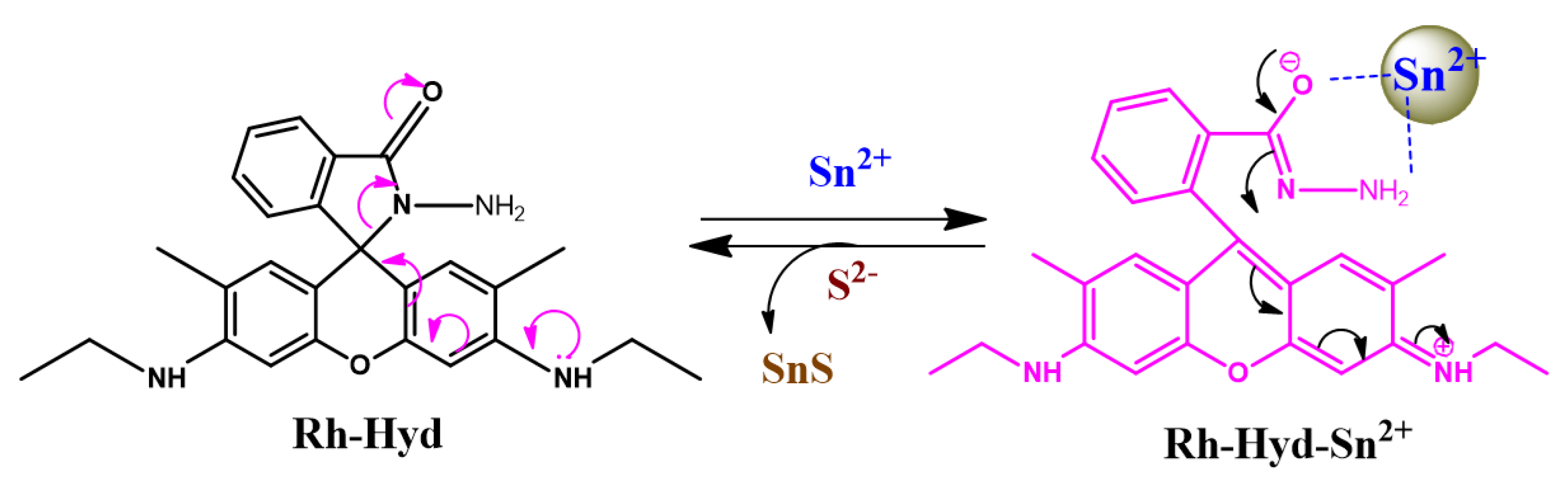 Chemosensors 10 00069 g008