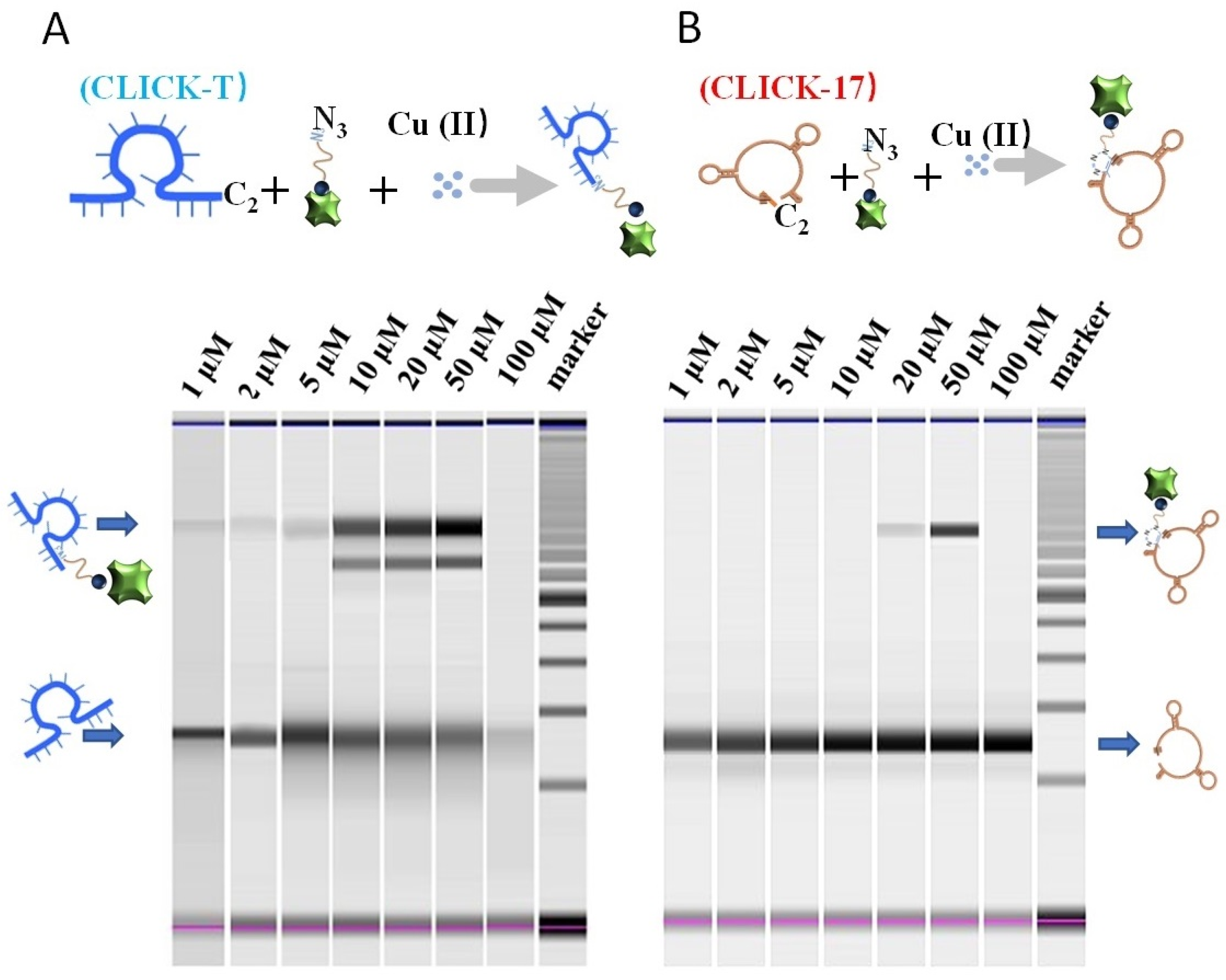 Chemosensors 10 00072 g003