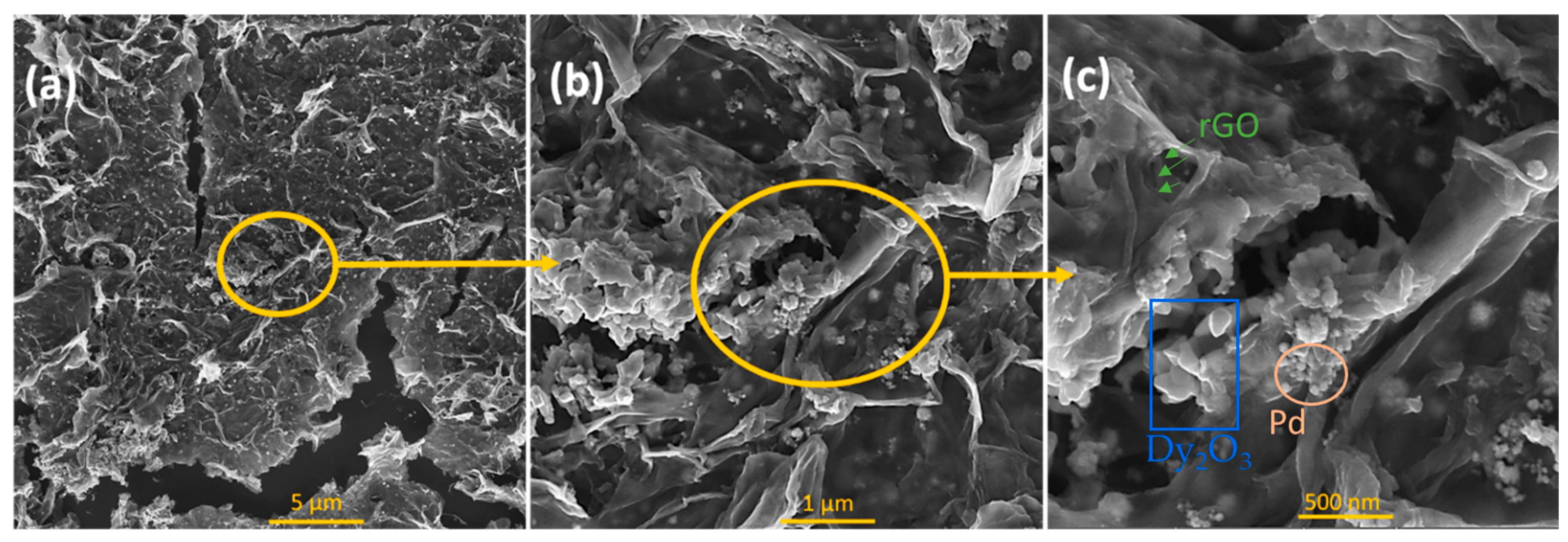 Chemosensors 10 00078 g004