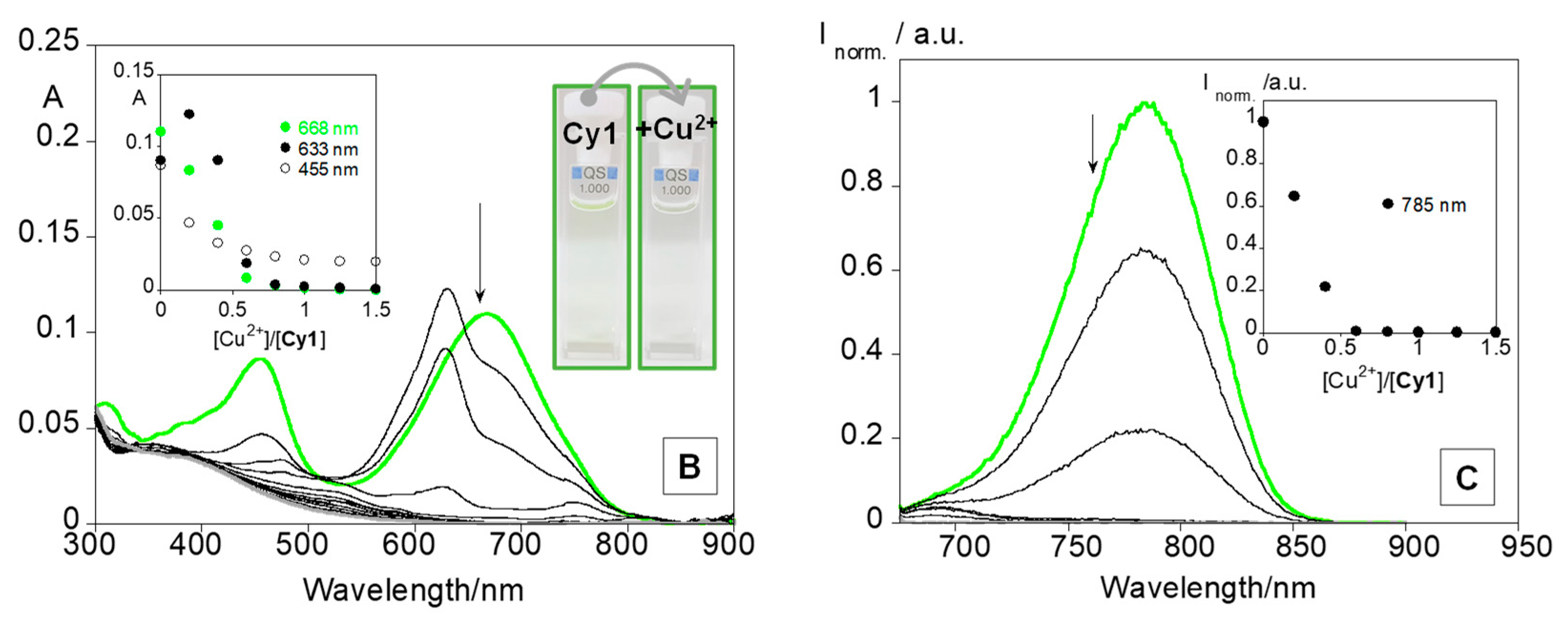 Chemosensors 10 00080 g002b