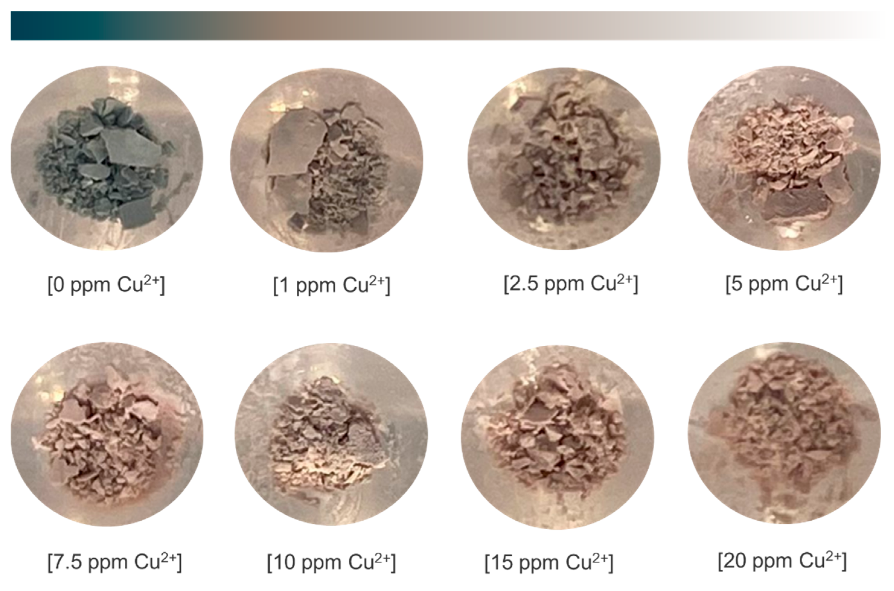 Chemosensors 10 00080 g004