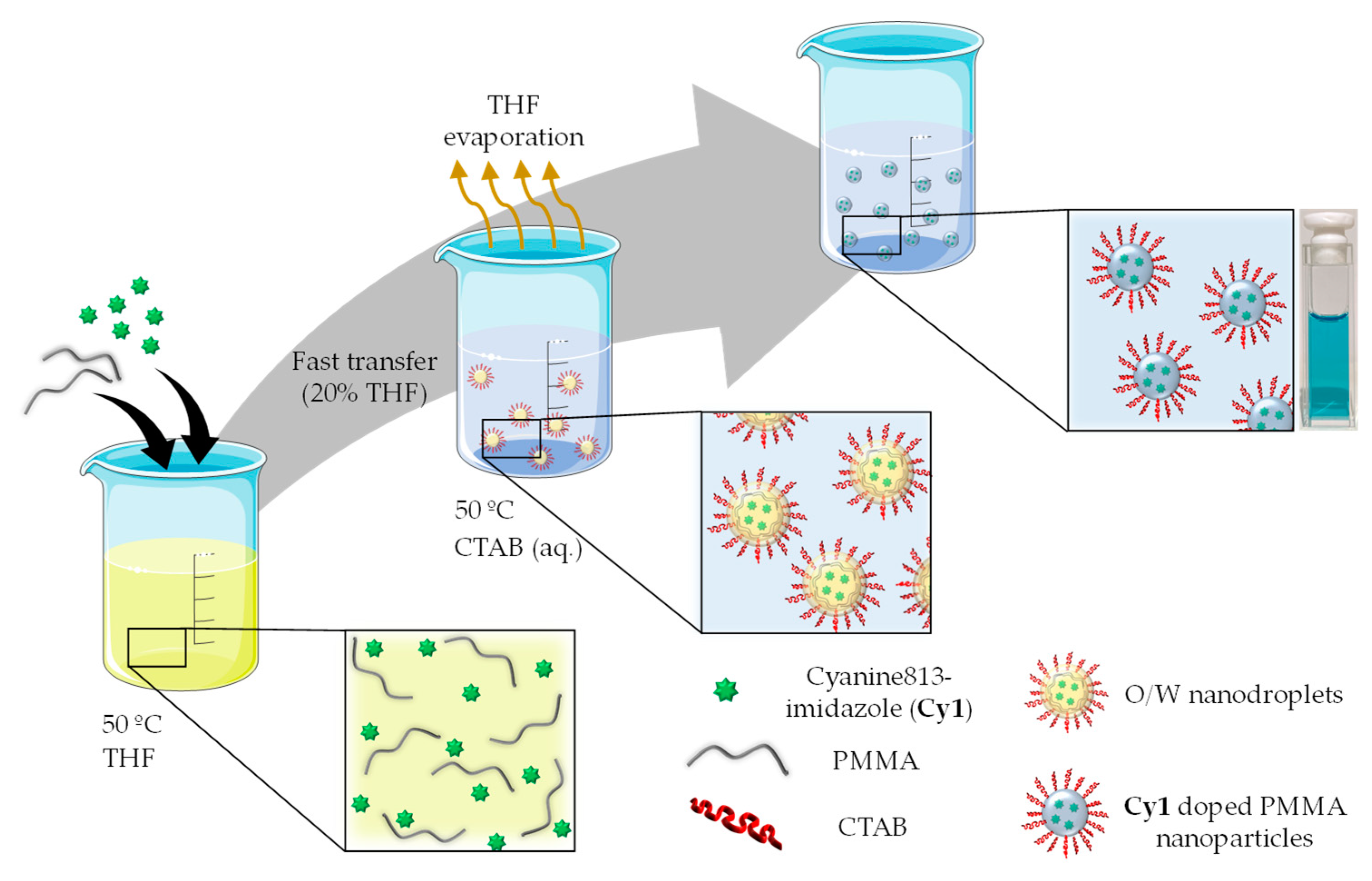 Chemosensors 10 00080 g005