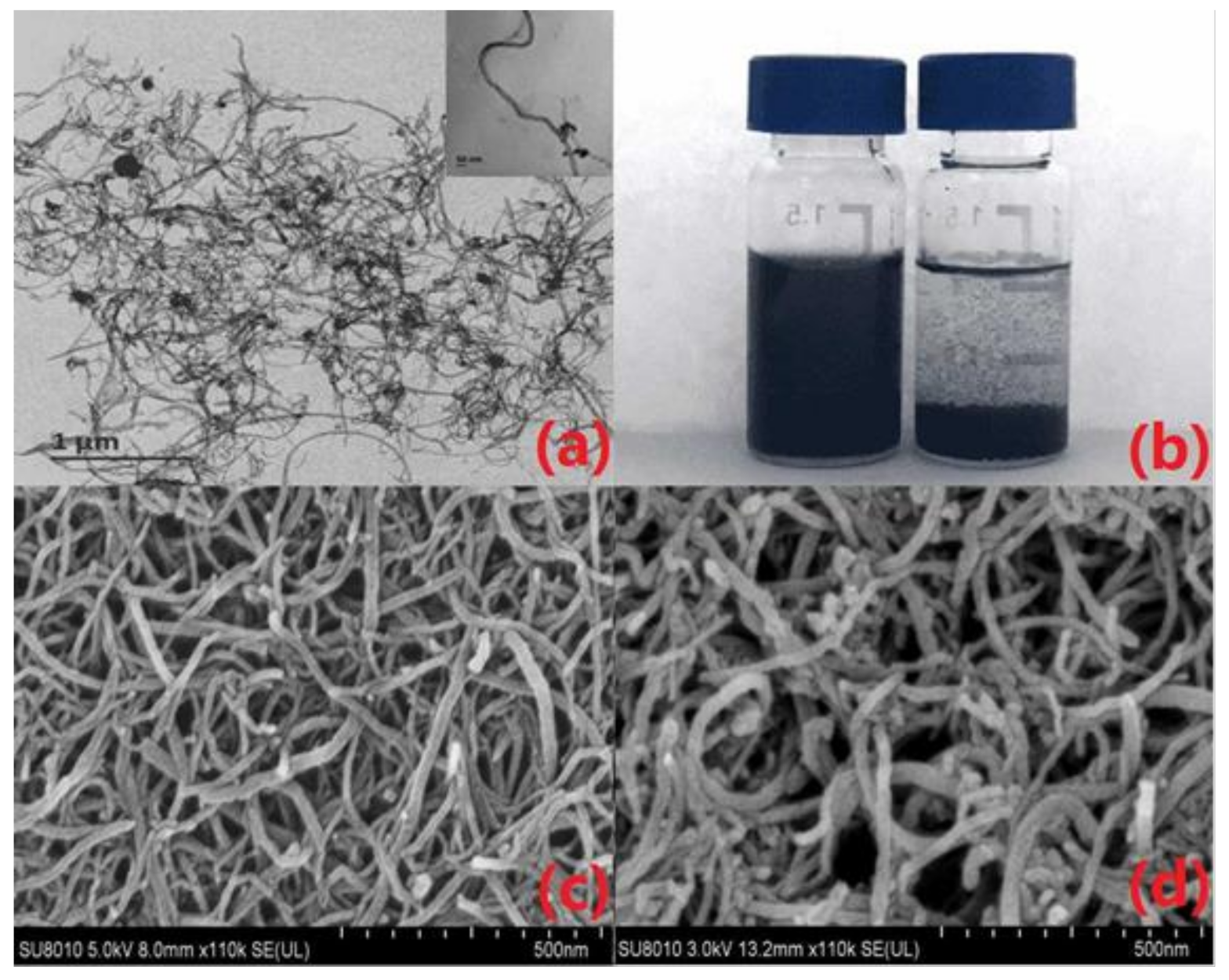 Chemosensors 10 00083 g001