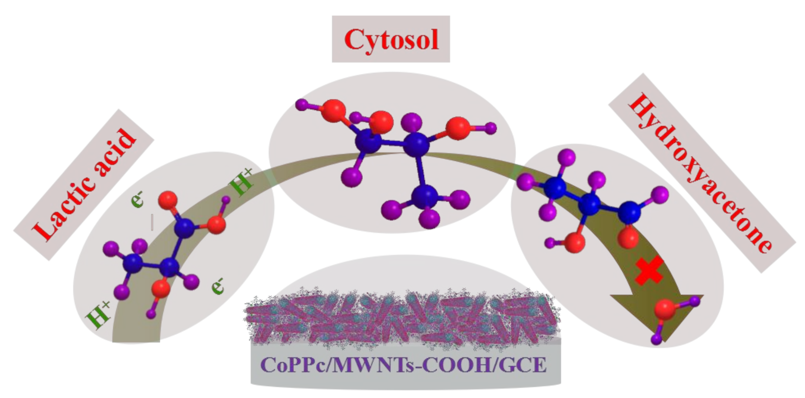 Chemosensors 10 00083 sch002